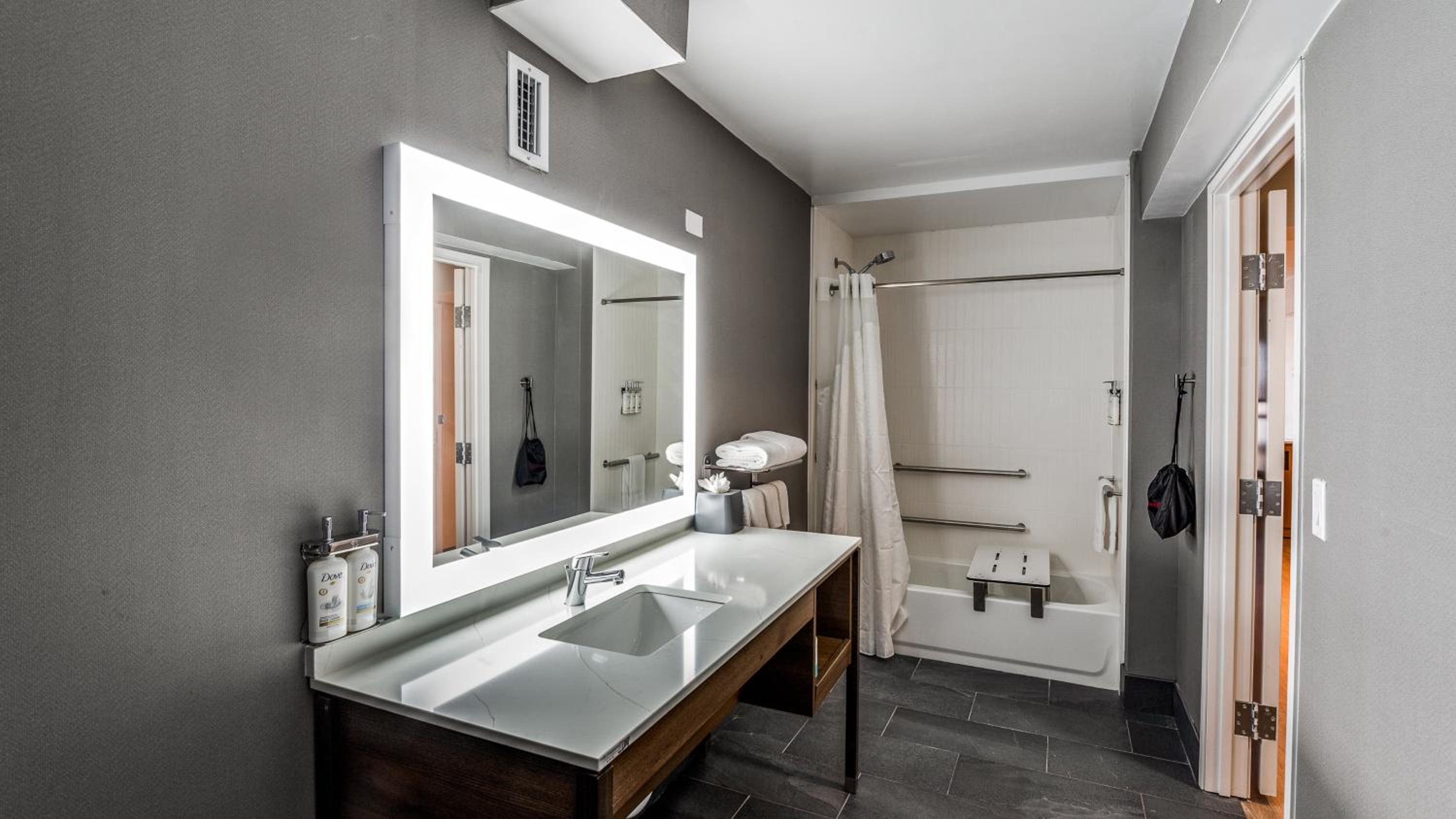 One-Bedroom Suite - Communications and Mobility Accessible - Photo 5