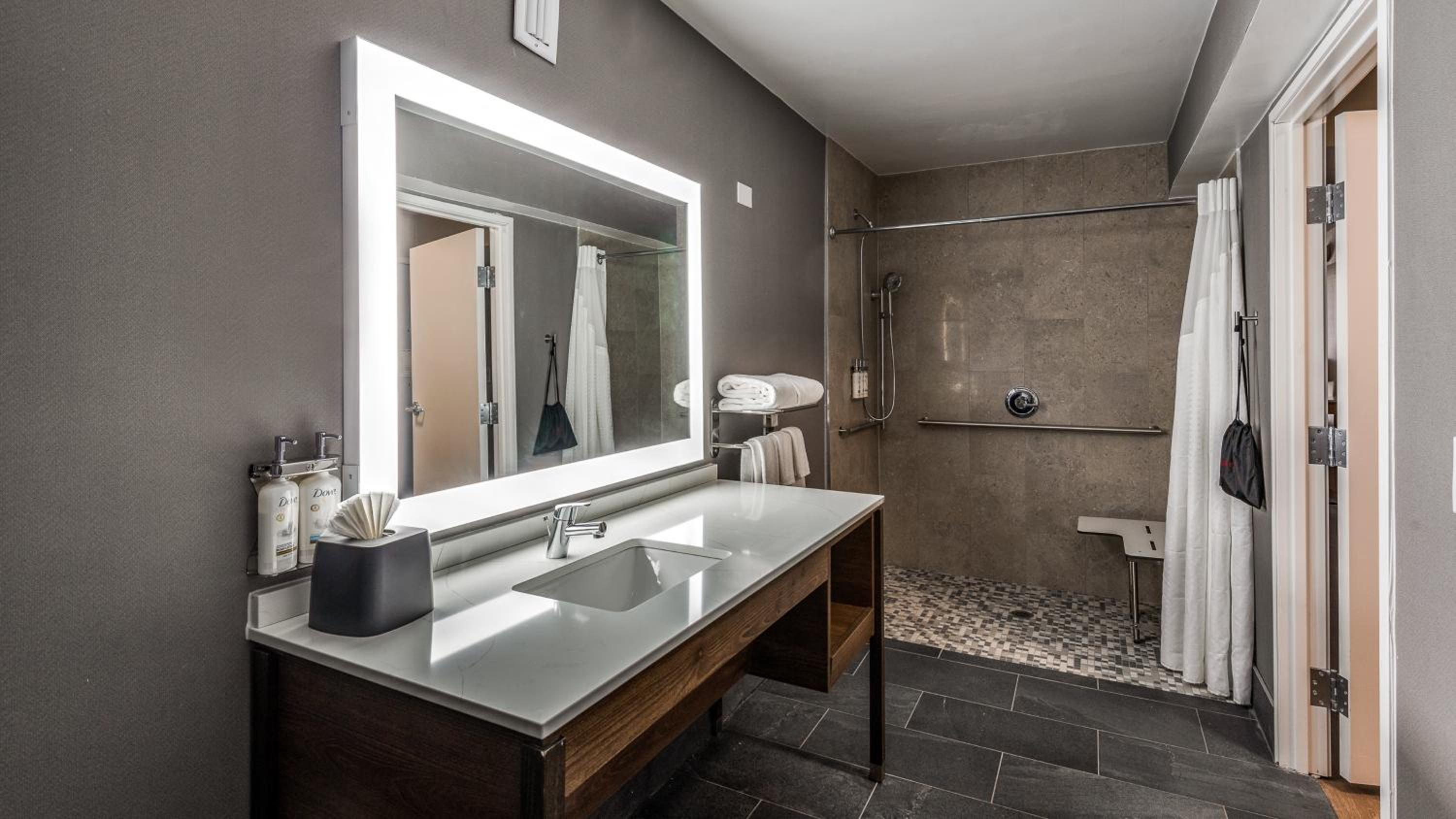 One-Bedroom Suite - Communications and Mobility Accessible - Photo 15