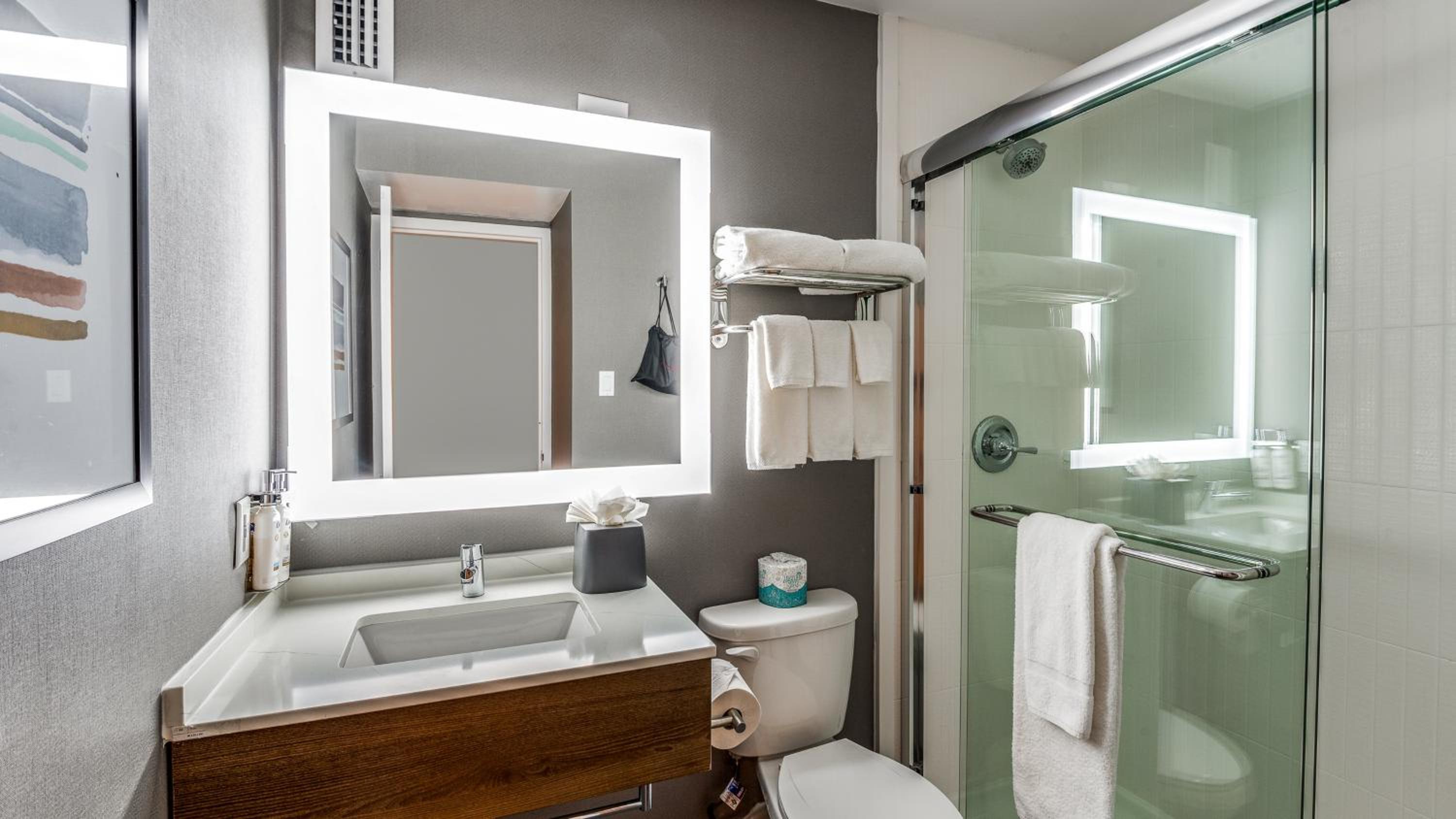 One-Bedroom Suite - Photo 10