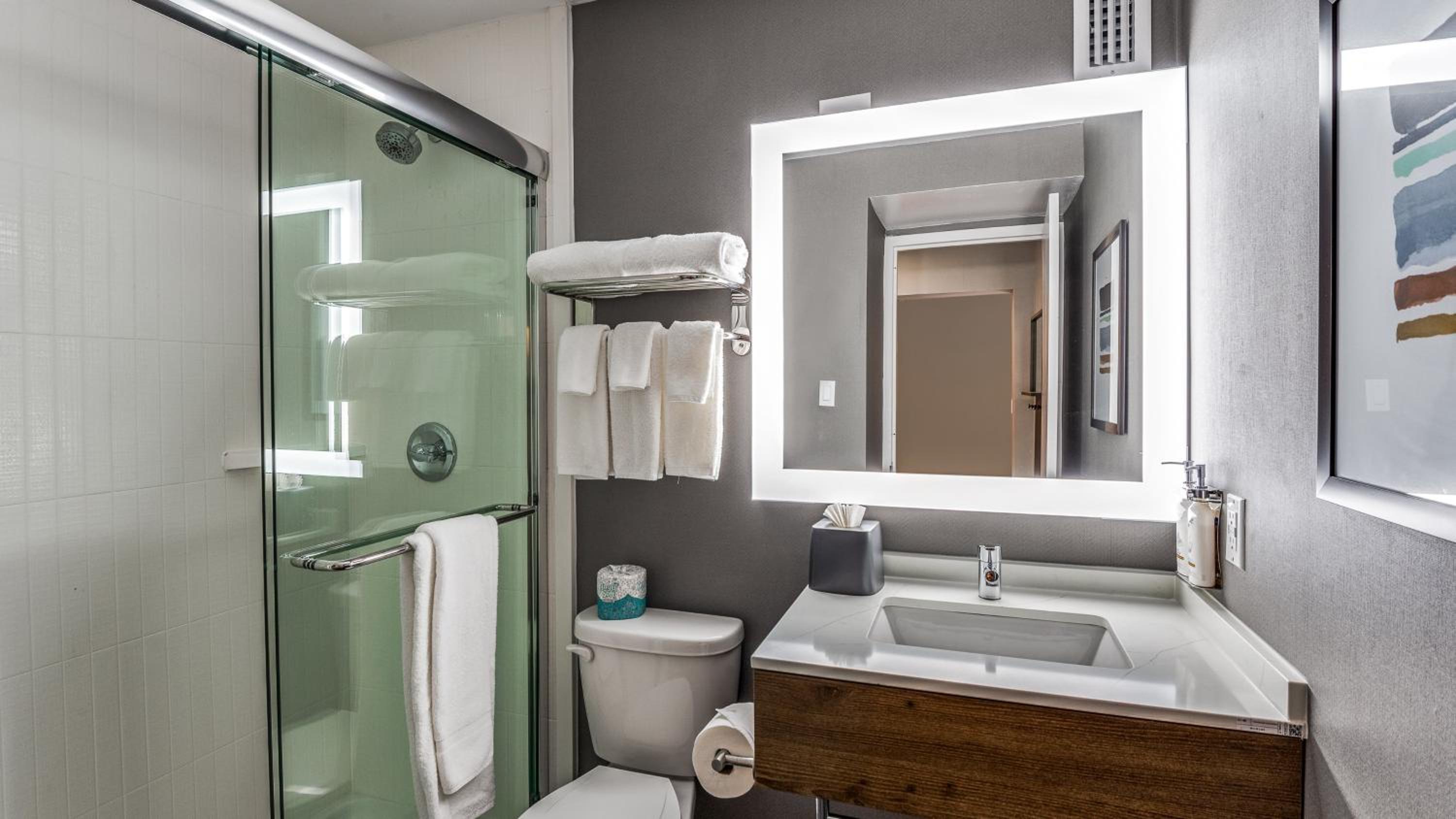 One-Bedroom Suite - Photo 14