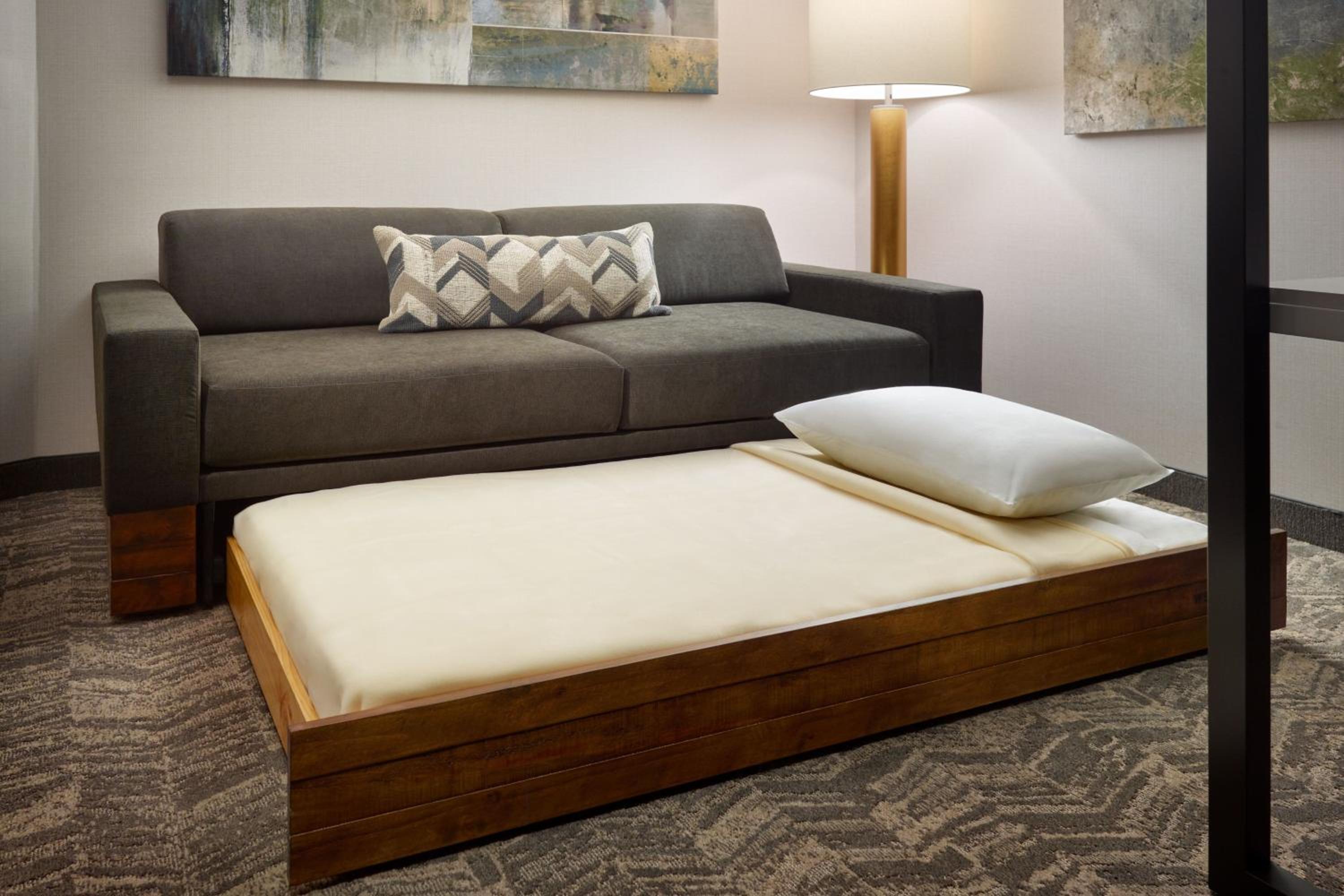 King Studio Suite with Sofa Bed - Mobility Accessible with Tub - Photo 1