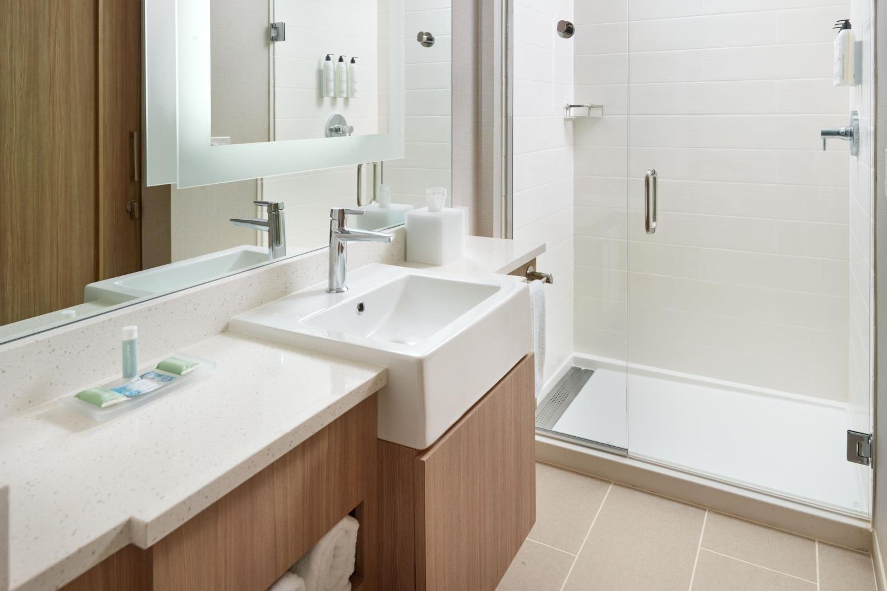 King Studio Suite with Sofa Bed - Mobility Accessible with Tub - Photo 6