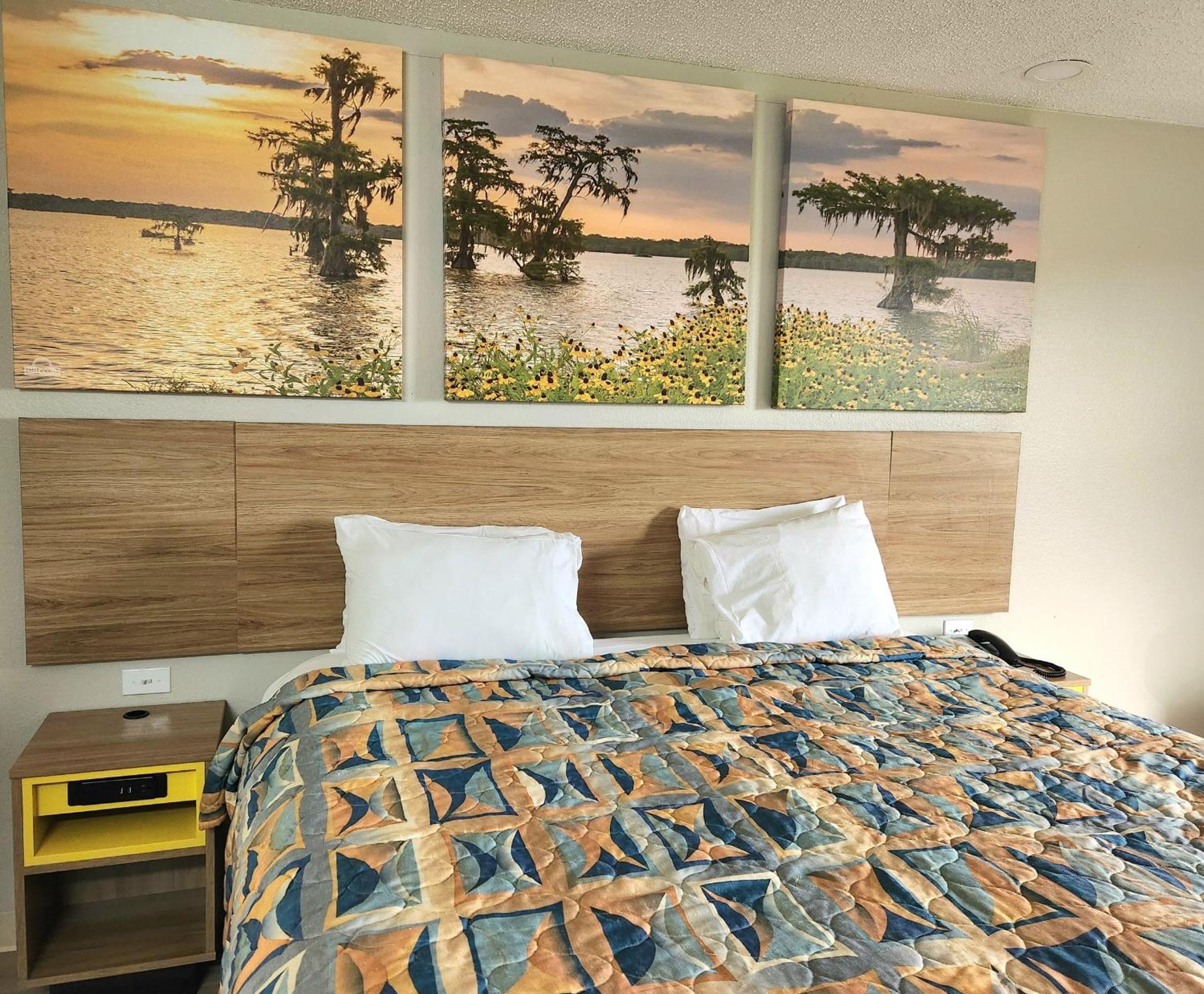 King Room with Mobility Access and Bathtub with Grab Bars, Non-Smoking - Photo 1