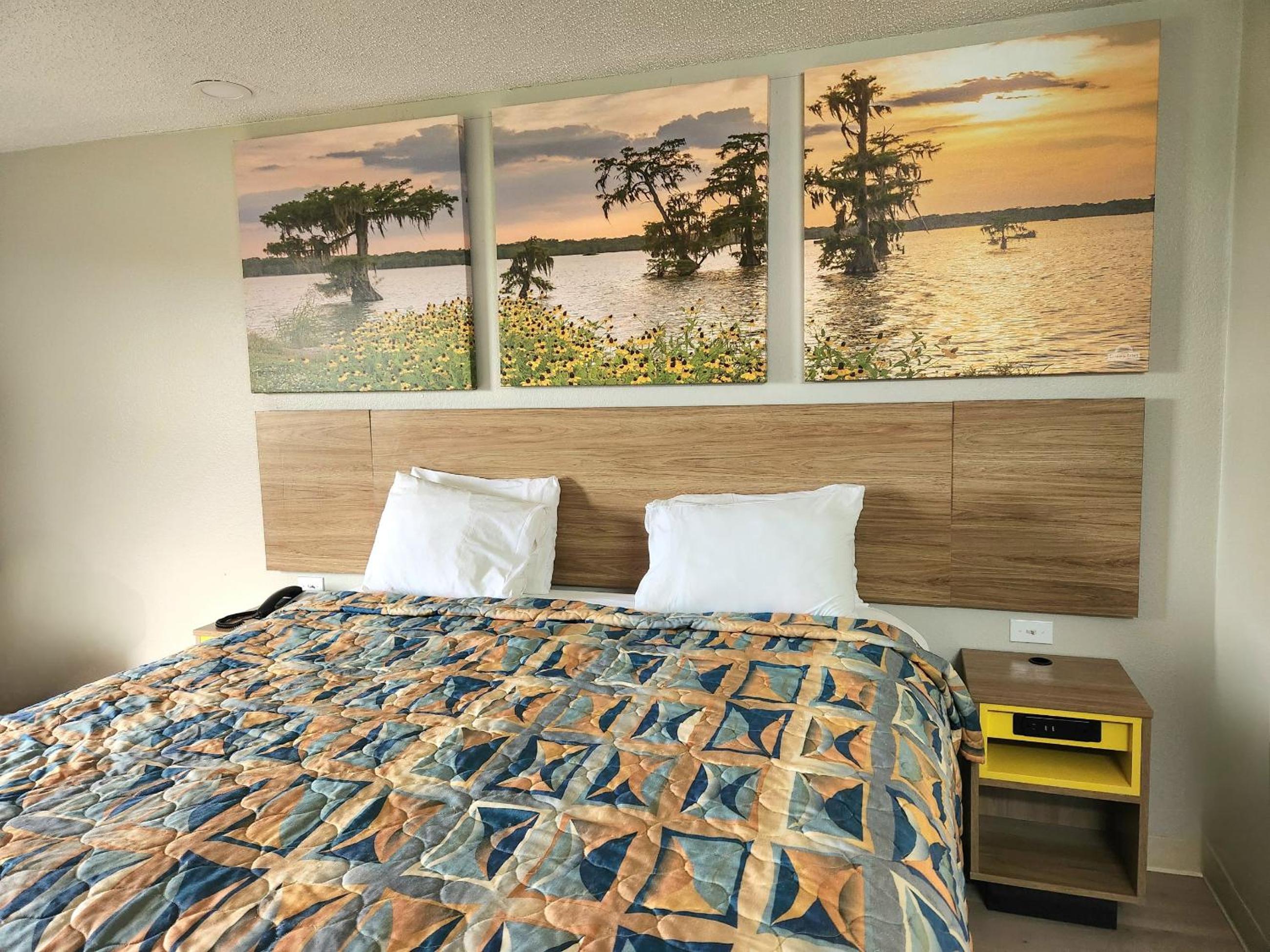 King Room with Mobility Access and Bathtub with Grab Bars, Non-Smoking - Photo 4