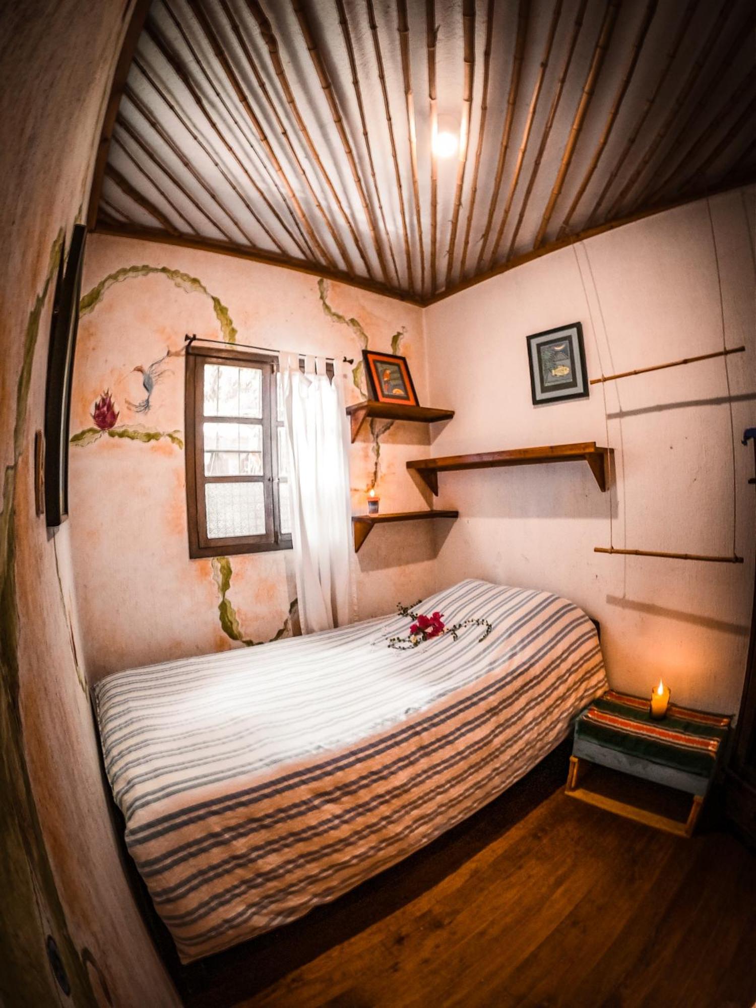 Single Room With Garden View photo 1