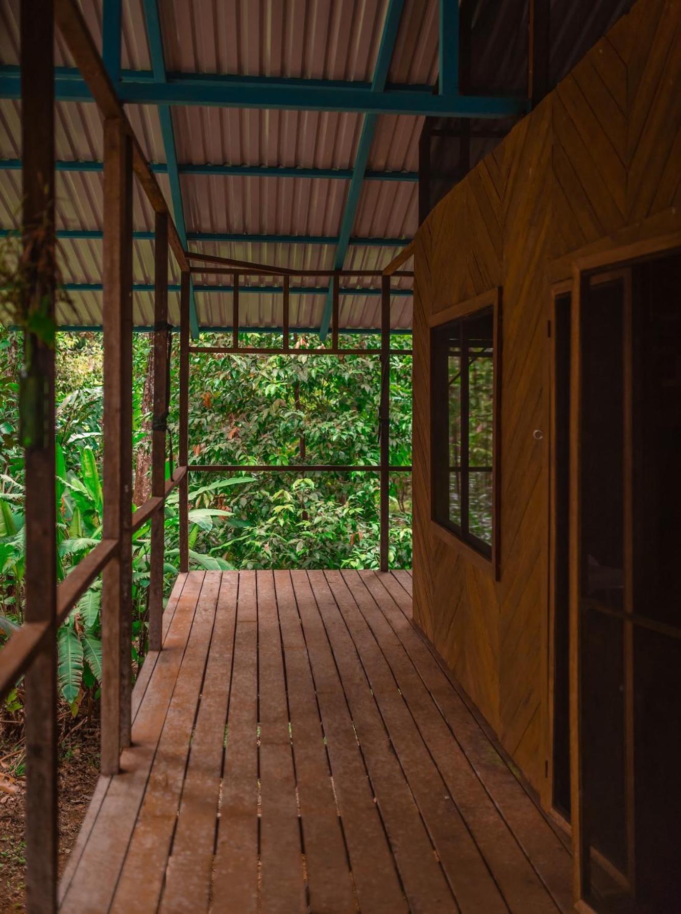 Bungalow with Garden View photo 3