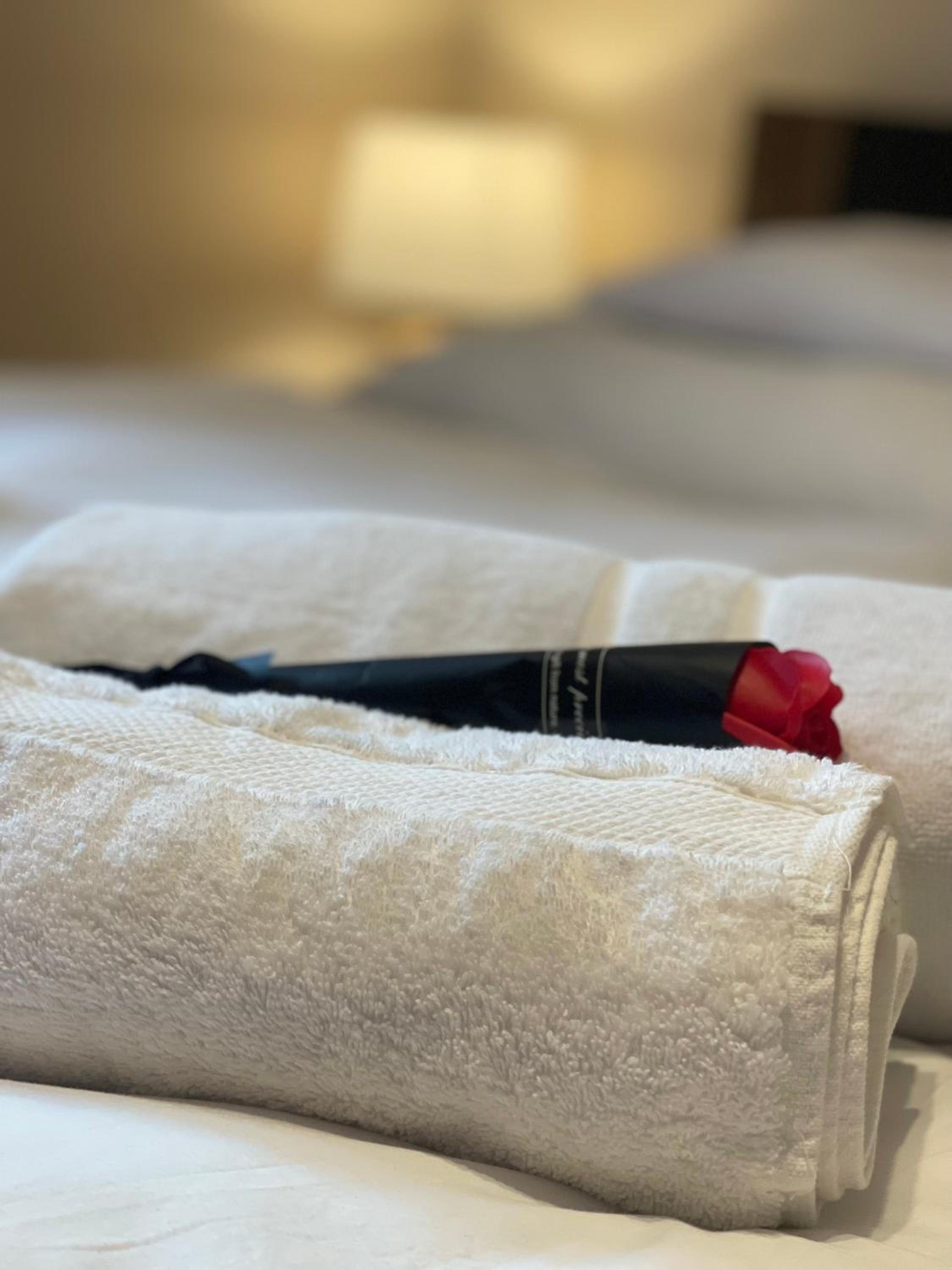 Two-Bedroom Apartment photo 2