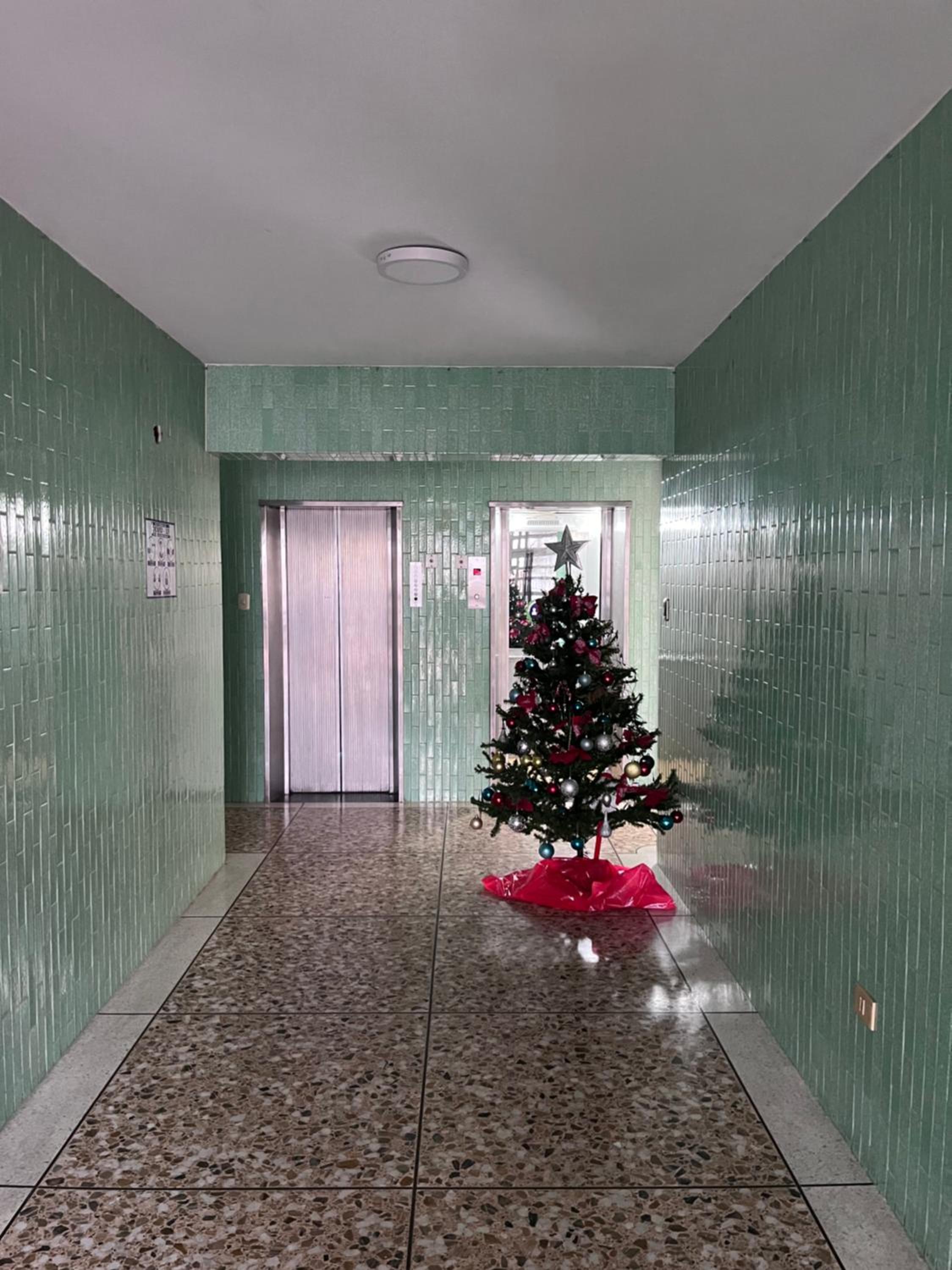Apartment with Terrace photo 3