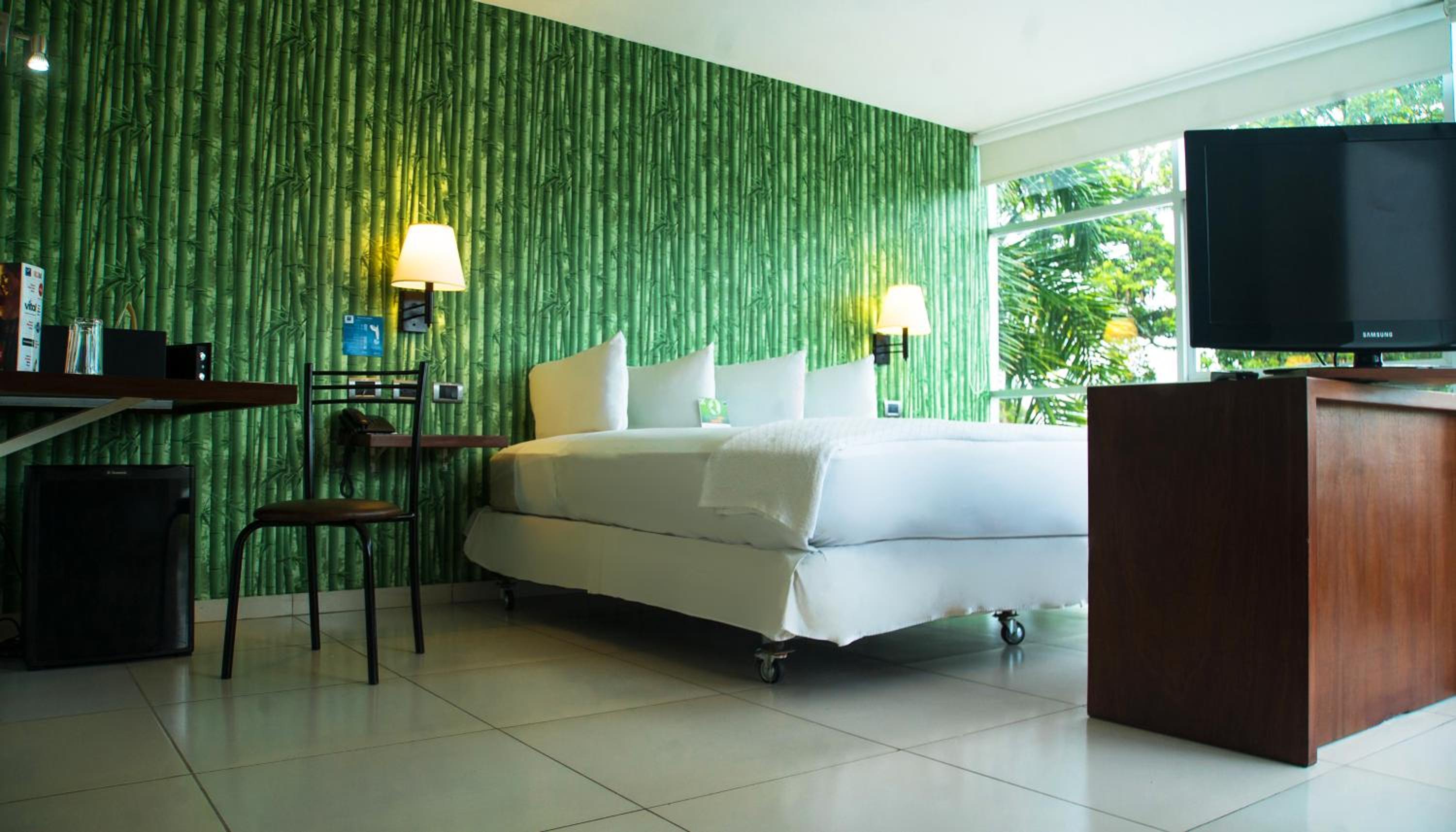 Suite - Photo 3