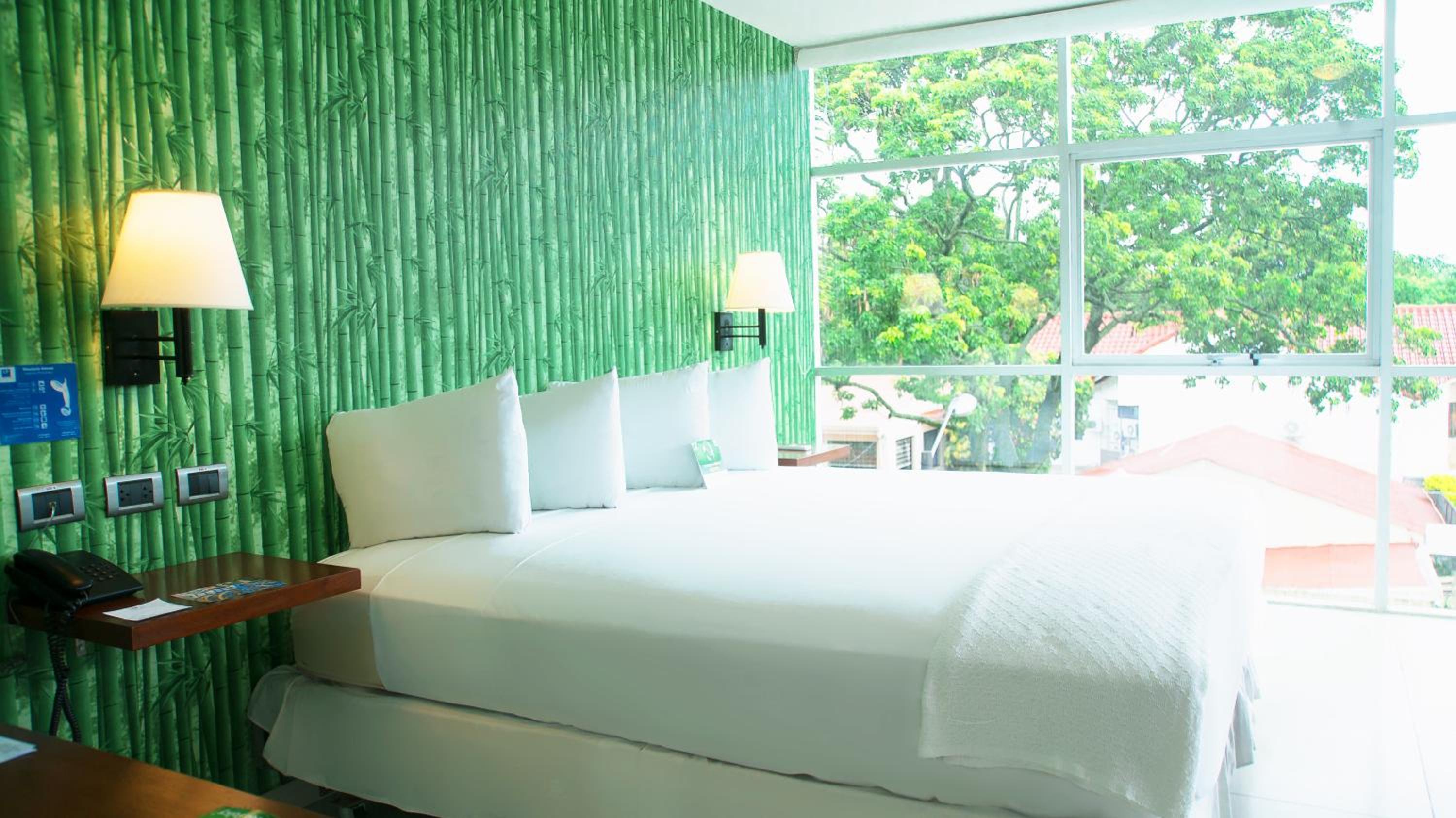Suite - Photo 1