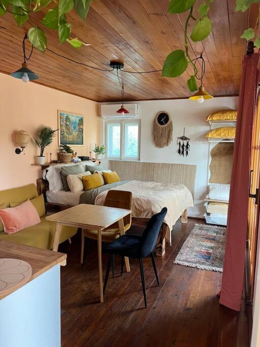 One-Bedroom House photo 1