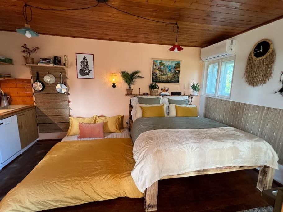 One-Bedroom House photo 3