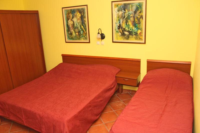 Triple Room with Terrace photo 3