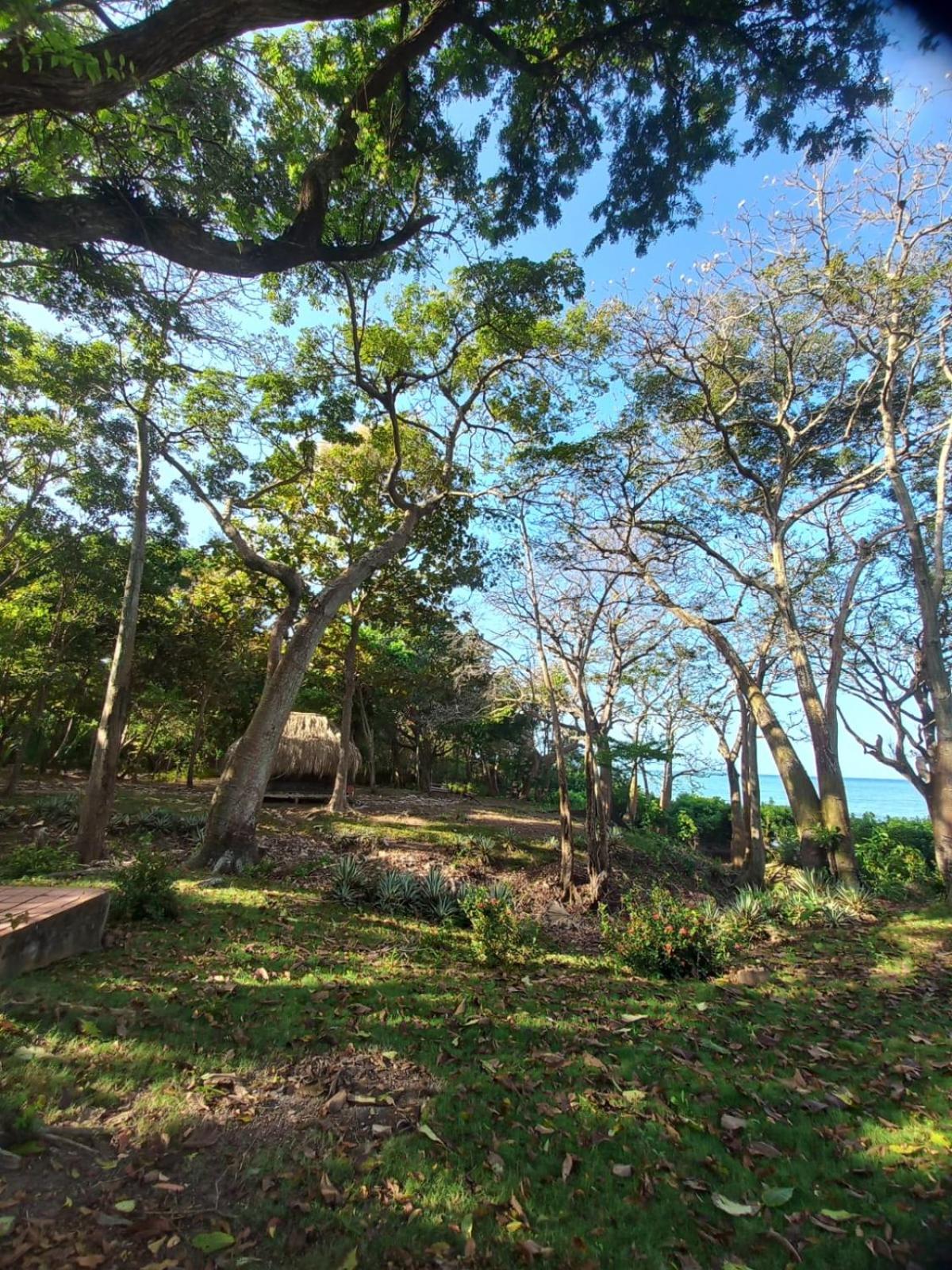 Triple Room with Sea View photo 2
