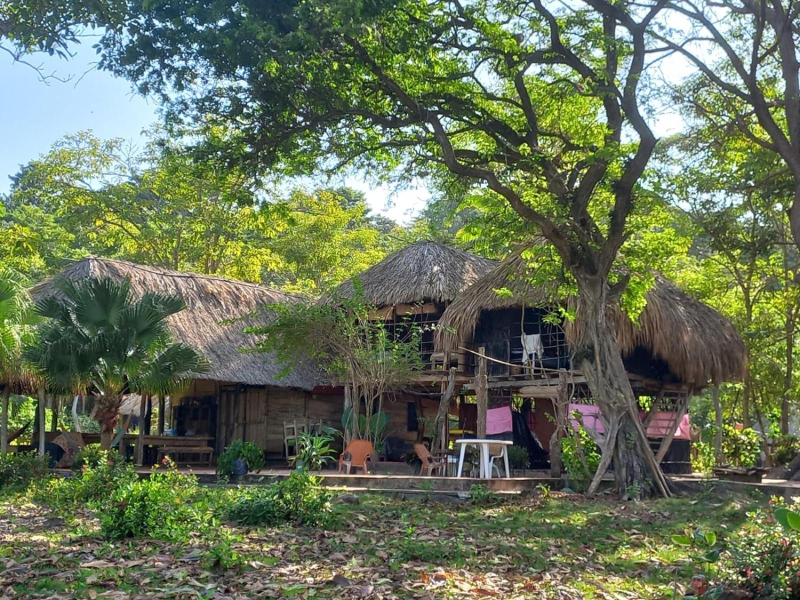 Basic Triple Room photo 2
