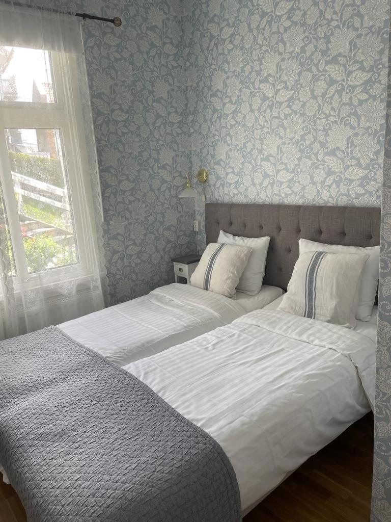 Twin Room photo 3