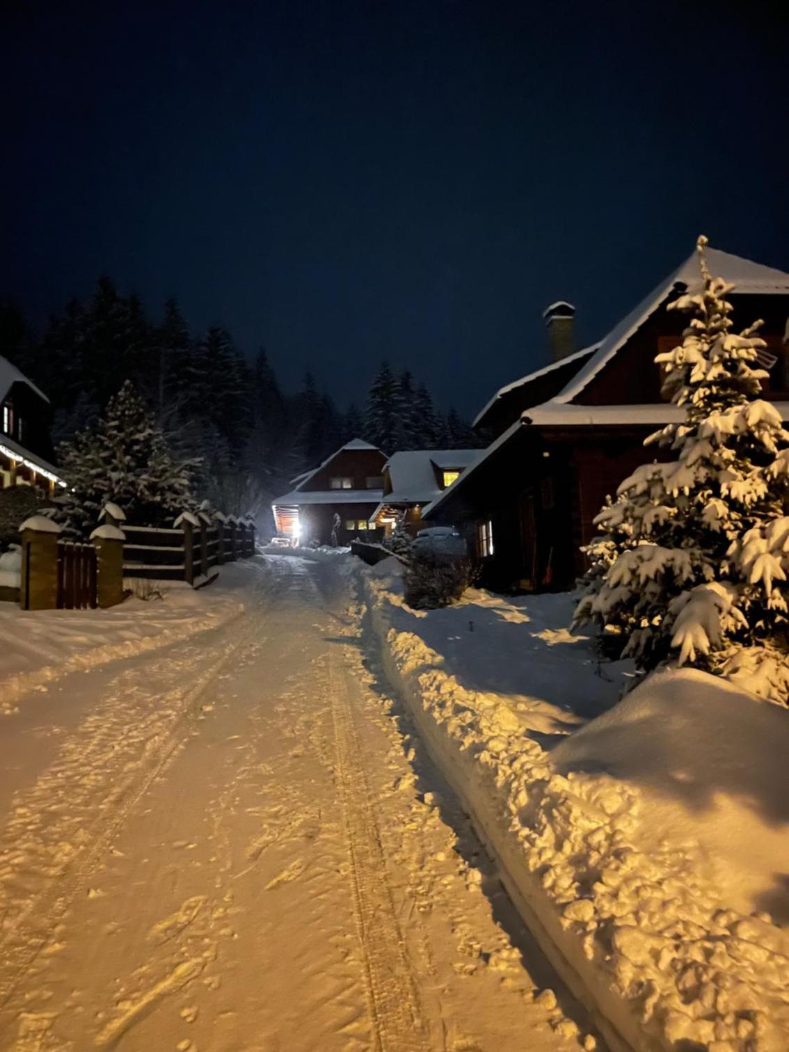 Chalet photo 1