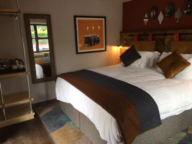 Superior King Room photo 3