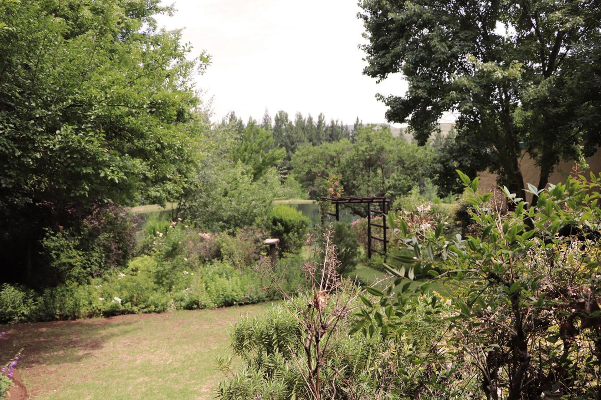 Chalet - Photo 6