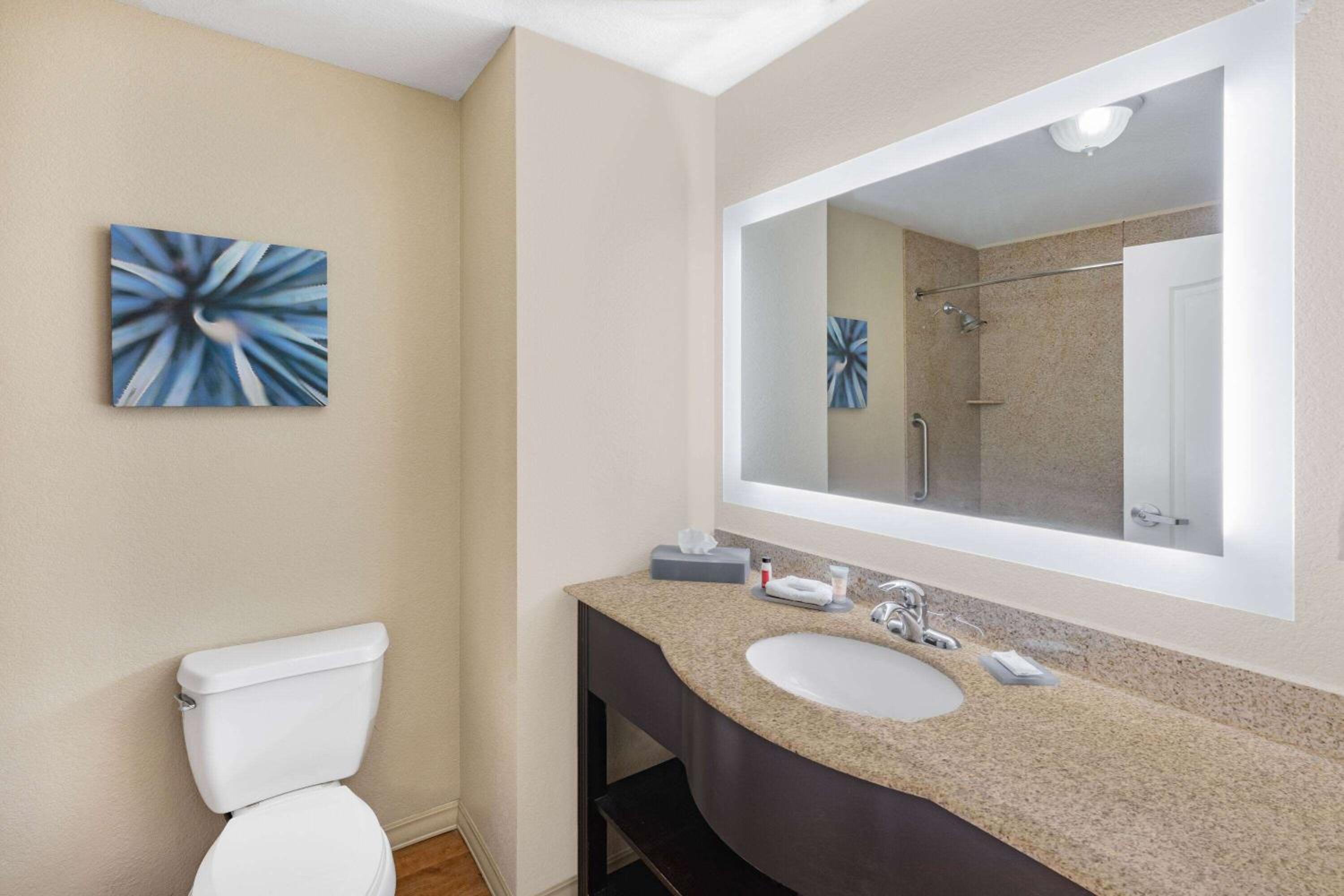 Deluxe King Room - Photo 7