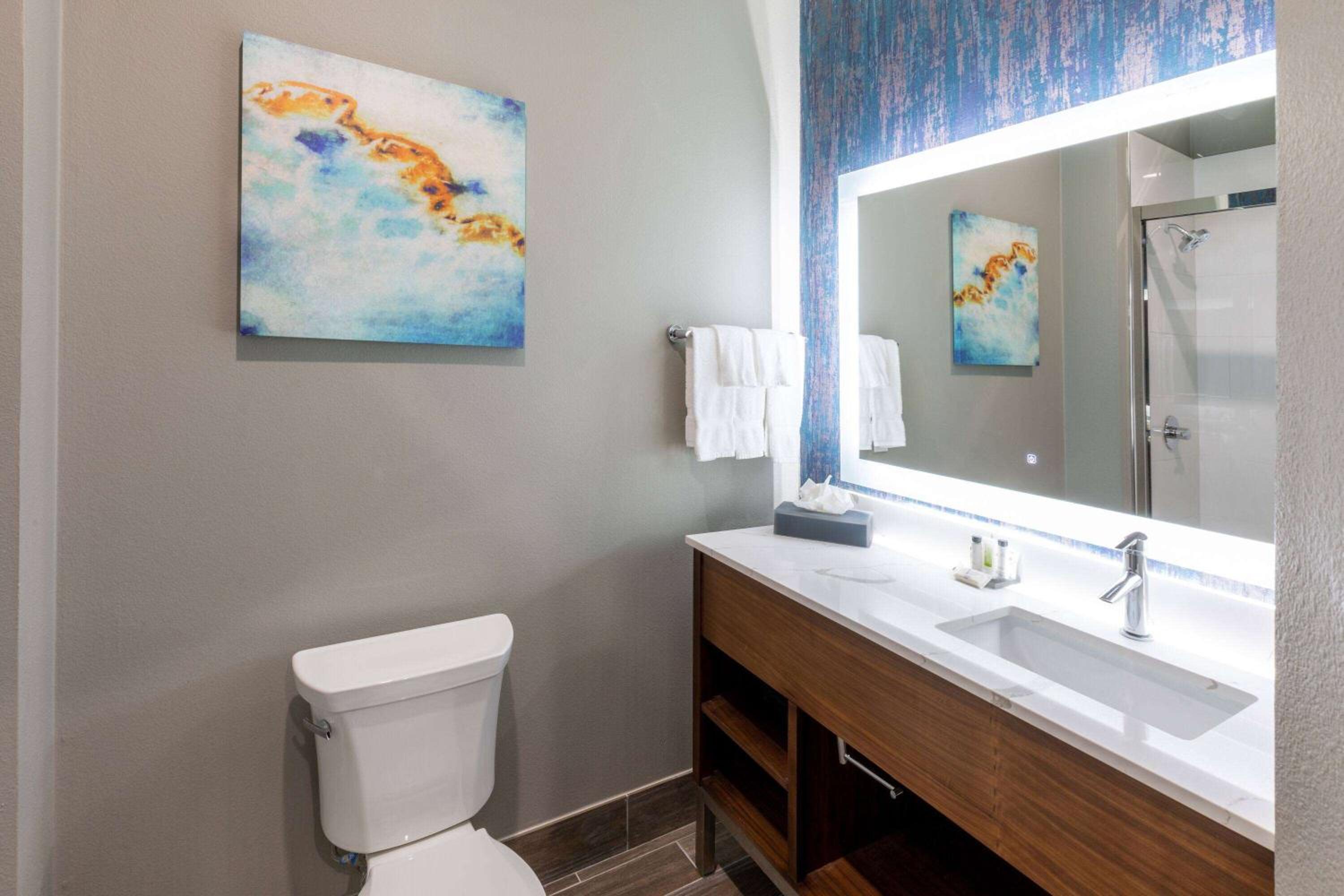 King Suite - Non-Smoking - Photo 4