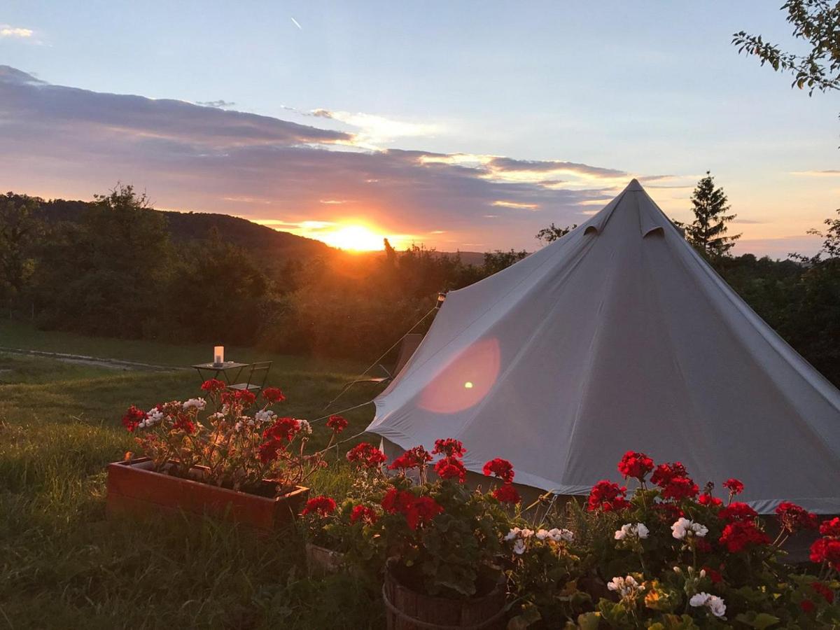 Tent photo 3