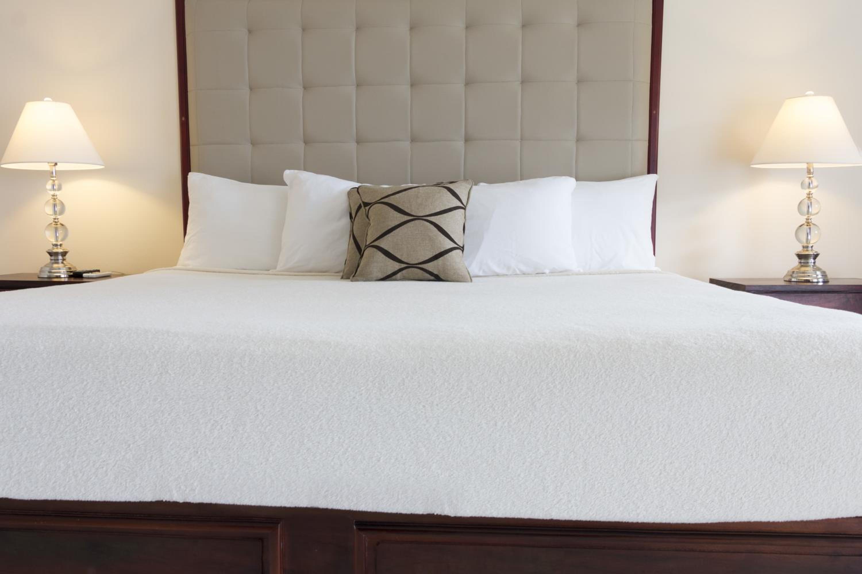 Deluxe King Room - Photo 4