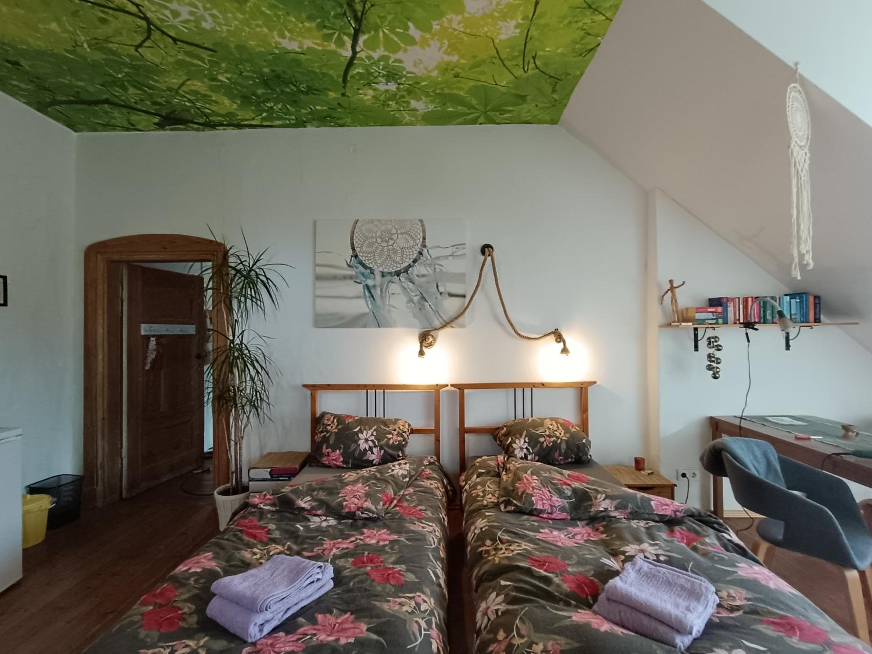 Studio Apartment photo 1