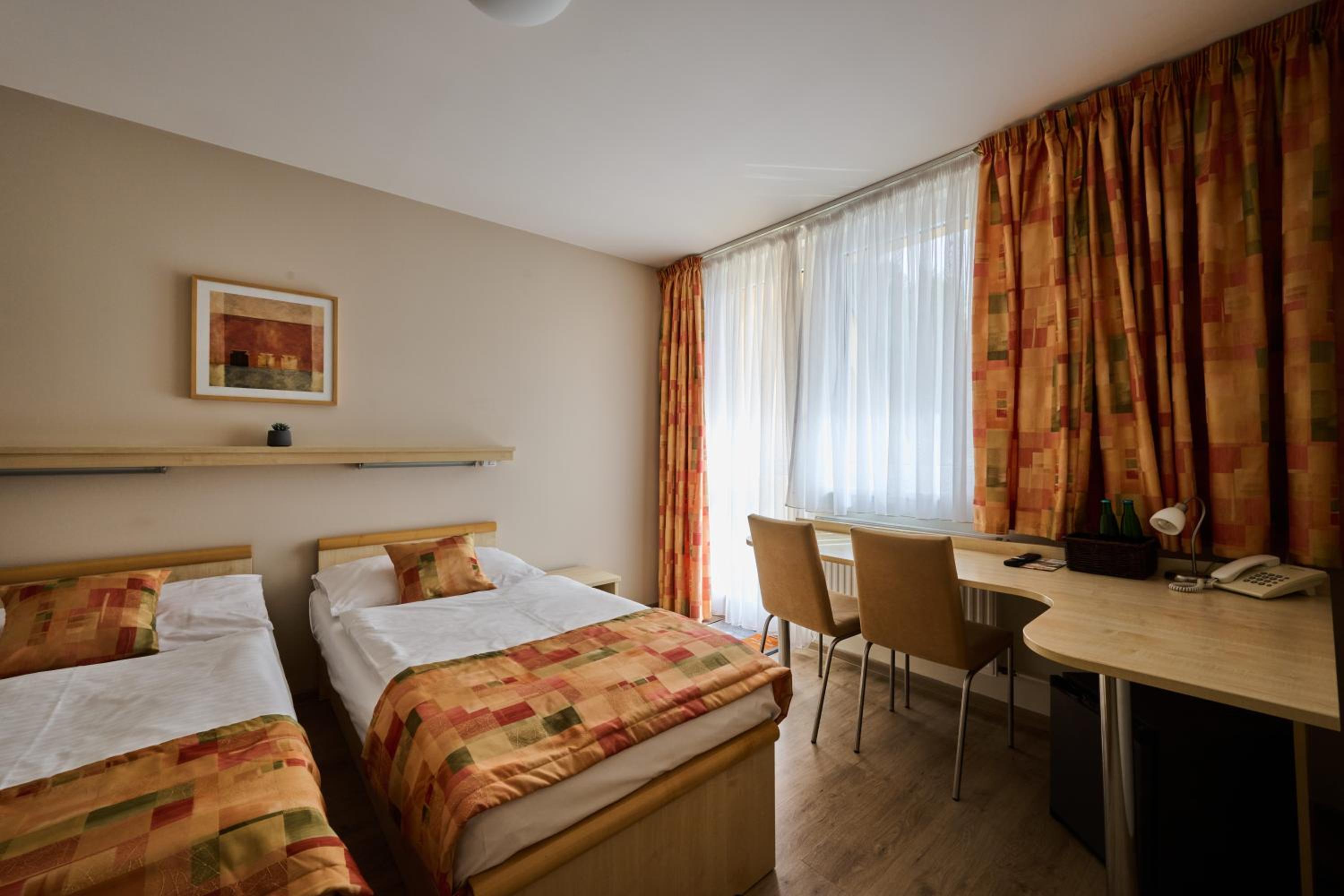 Deluxe Twin/Double Room photo 3