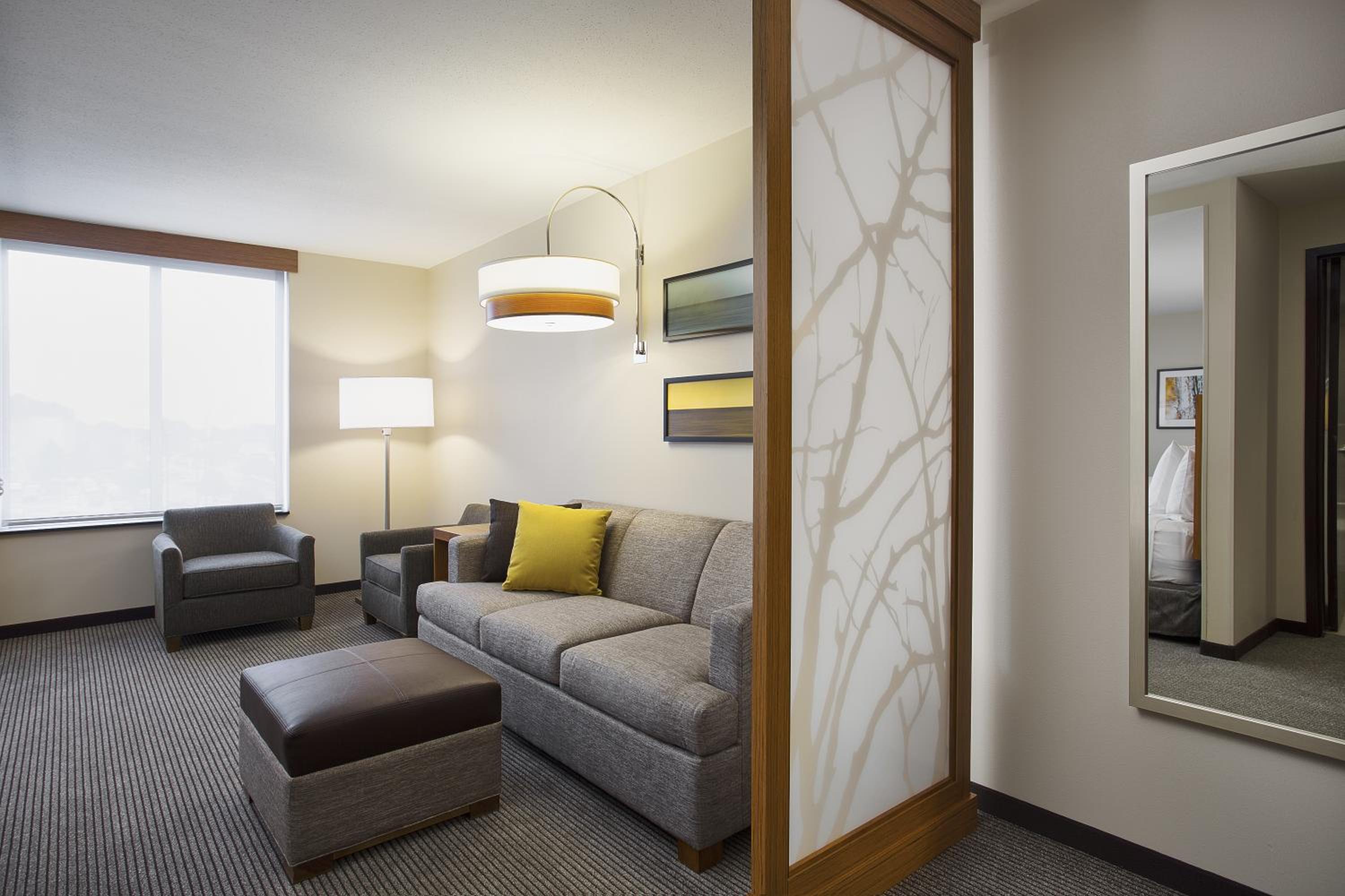 King Room with Sofa Bed and Roll-In Shower - Disability Access photo 2