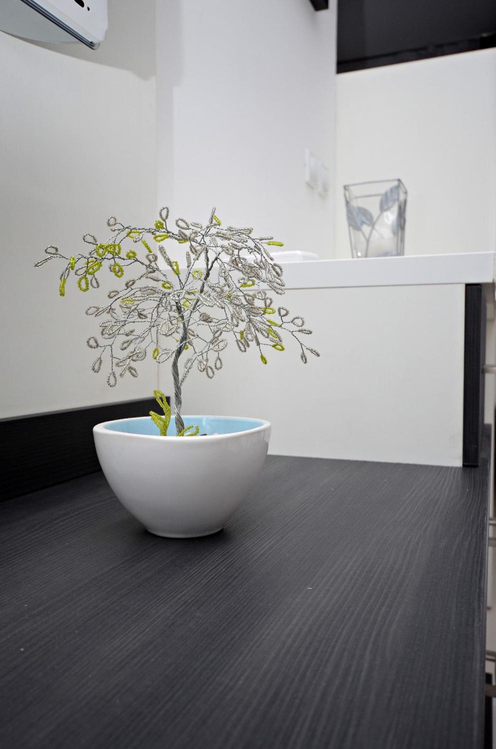 Studio Apartment photo 2