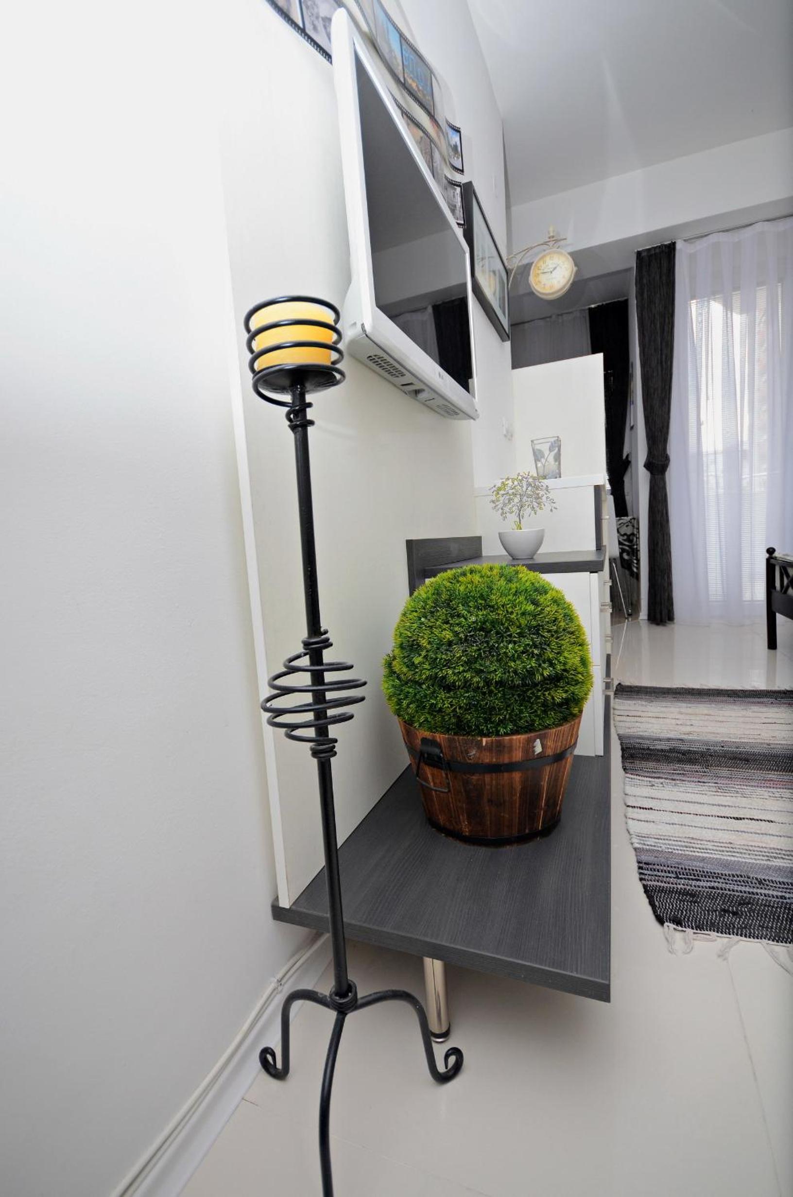 Studio Apartment photo 3