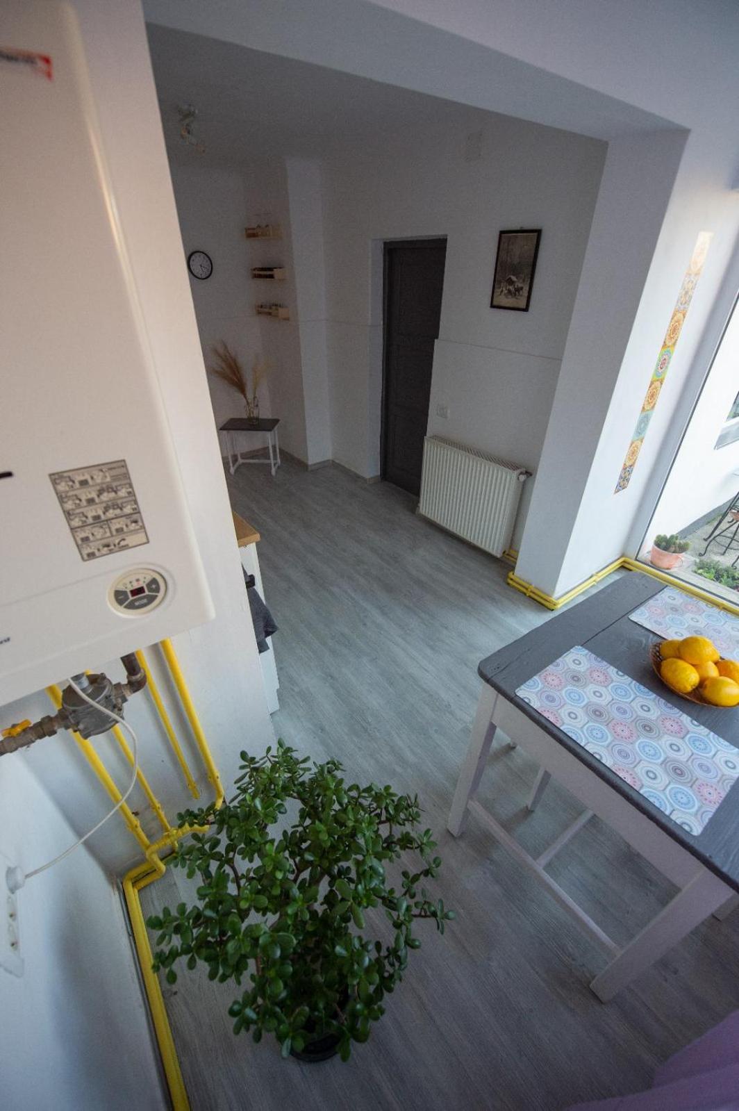One-Bedroom House photo 2