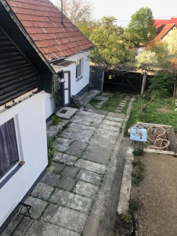 One-Bedroom House photo 3