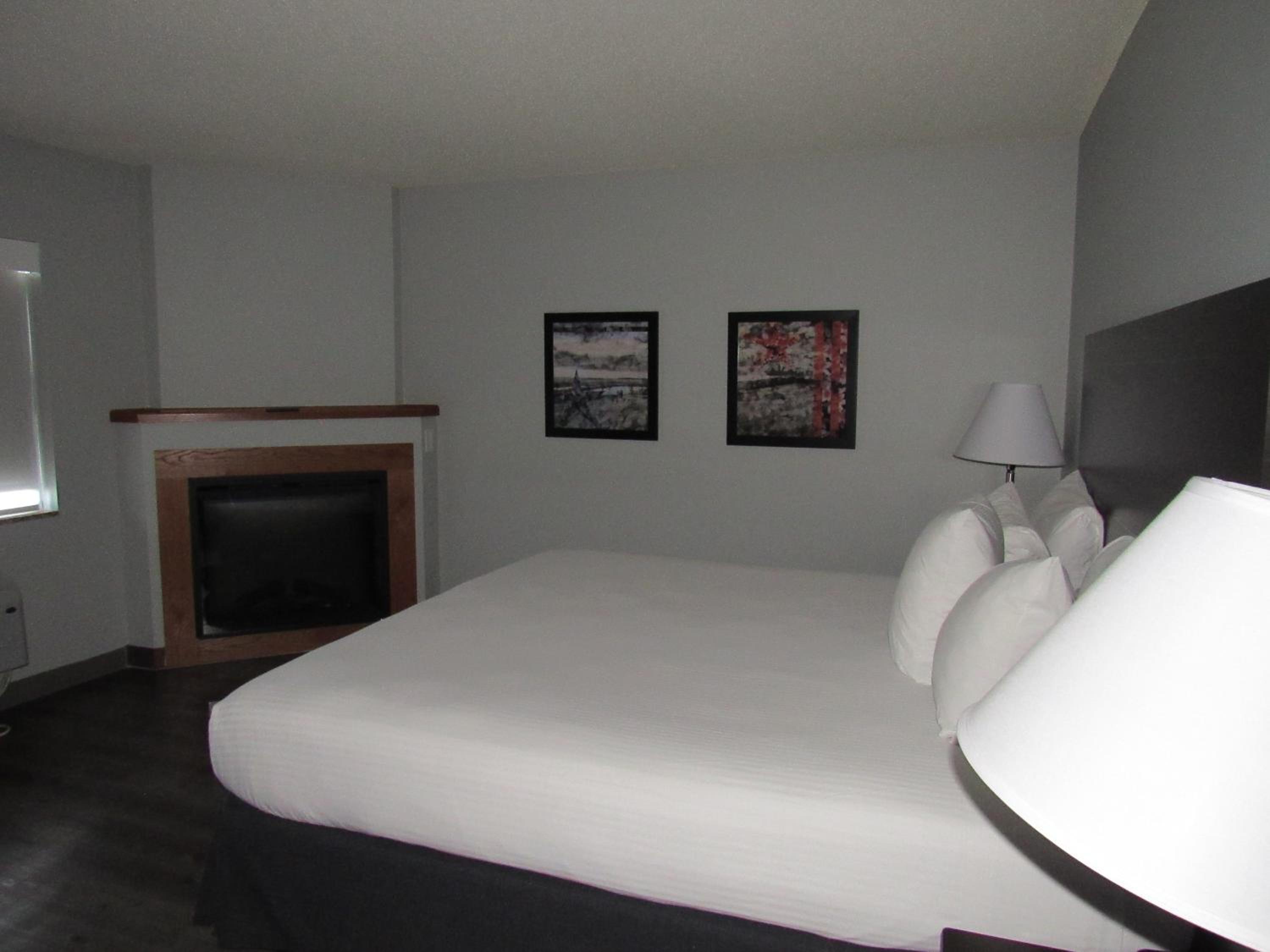 Deluxe King Studio Suite - Photo 5