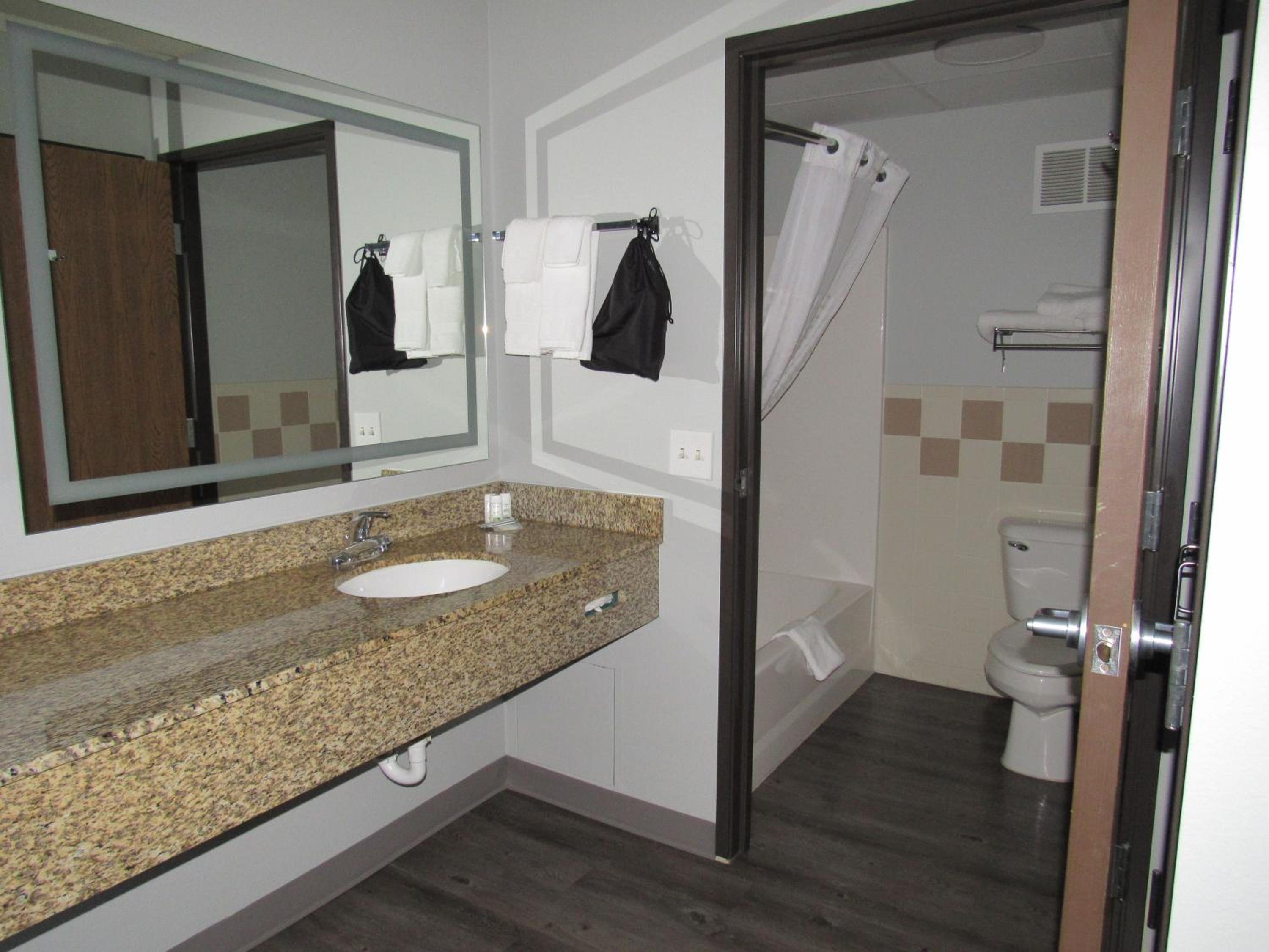 Deluxe King Room - Photo 6