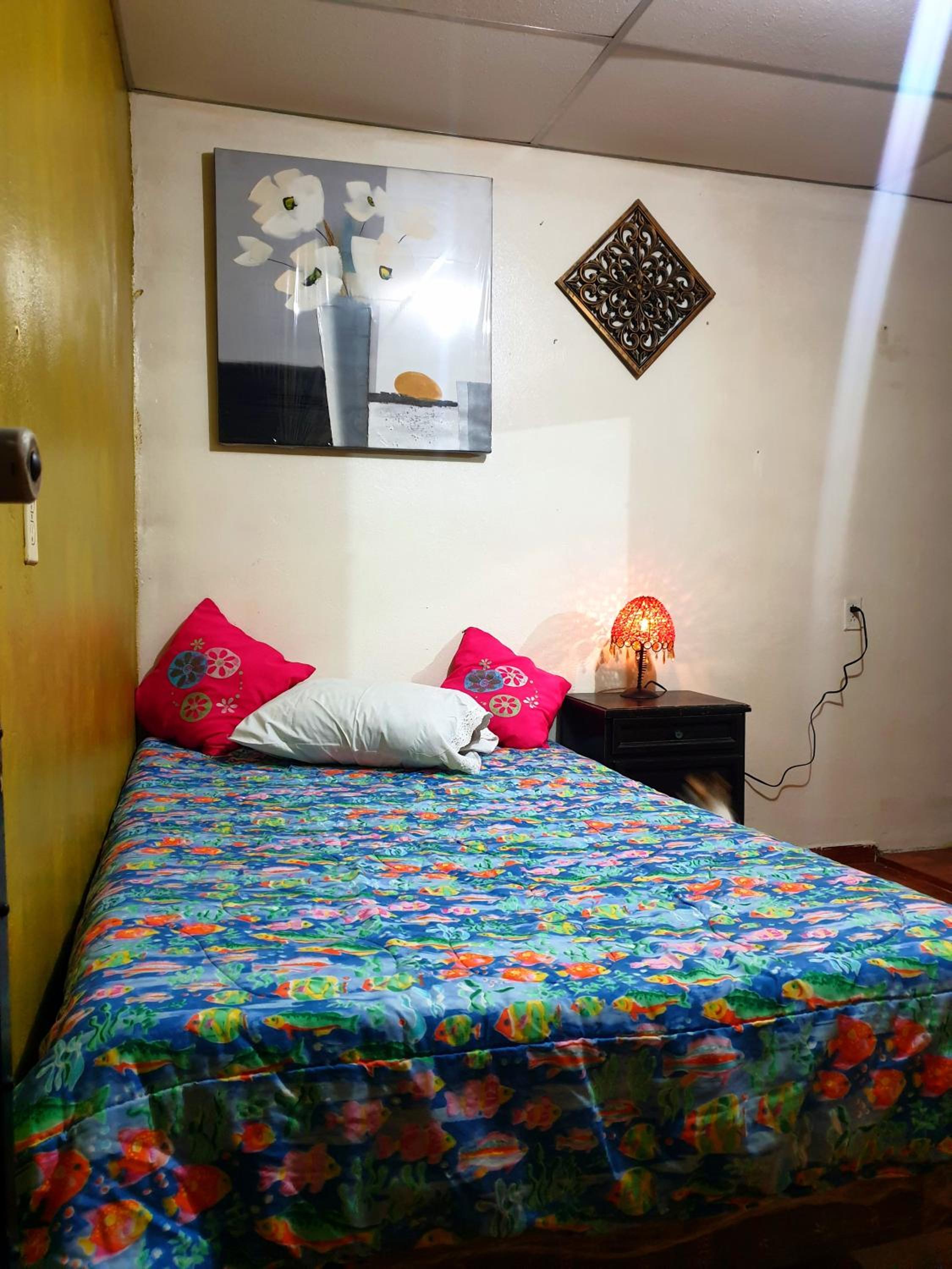 Double Room photo 1