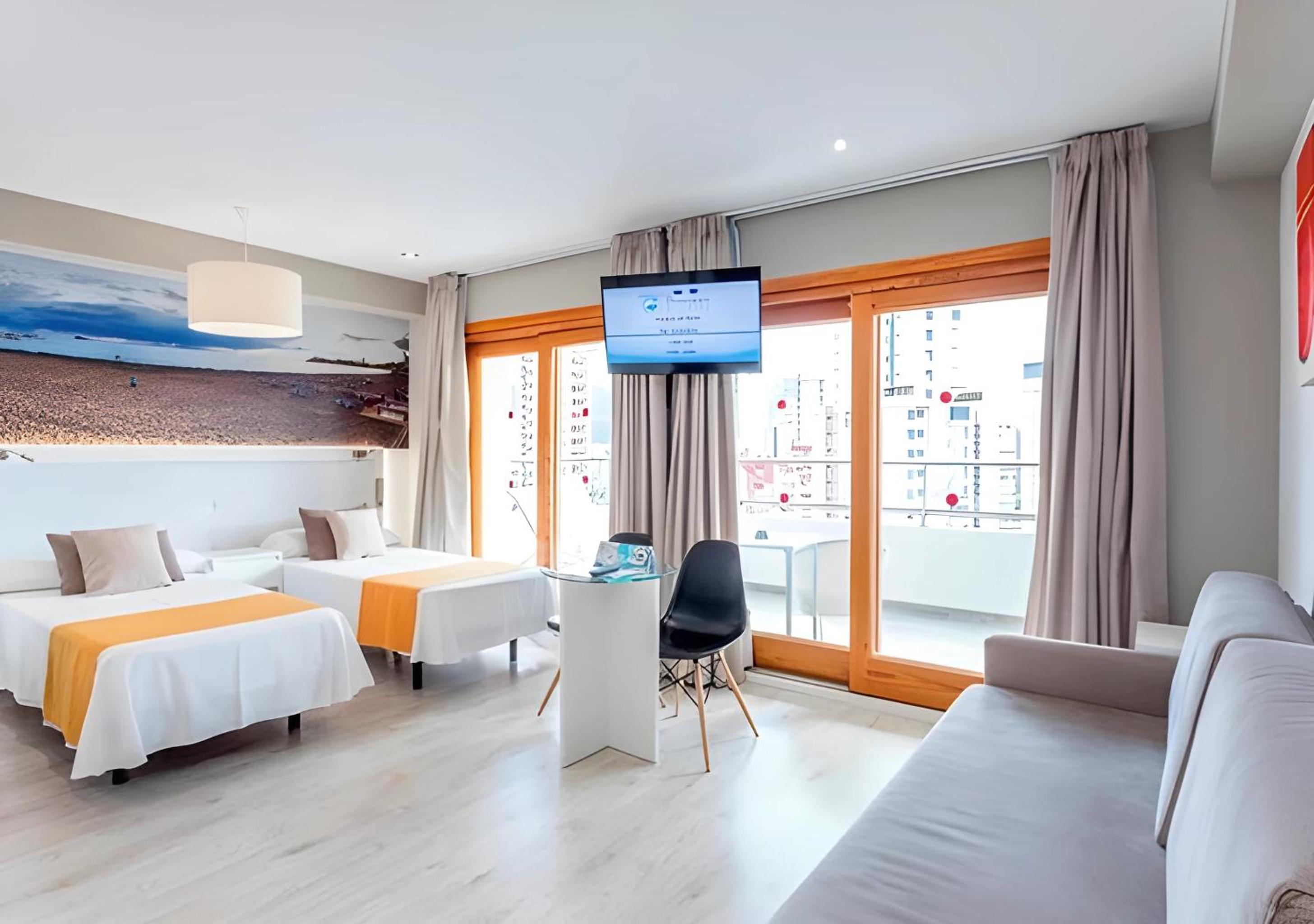 Suite Premium