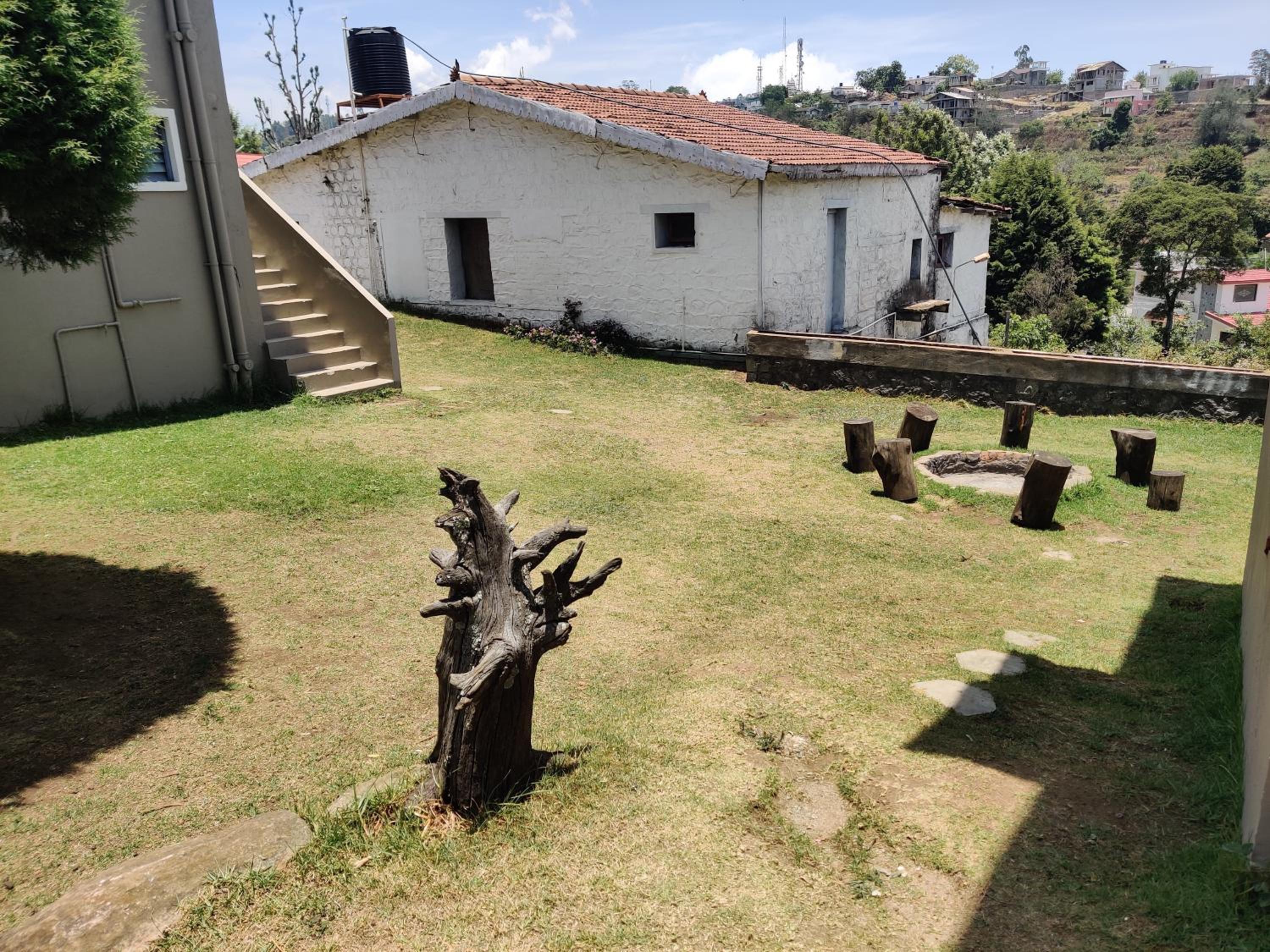 Family Bungalow photo 3