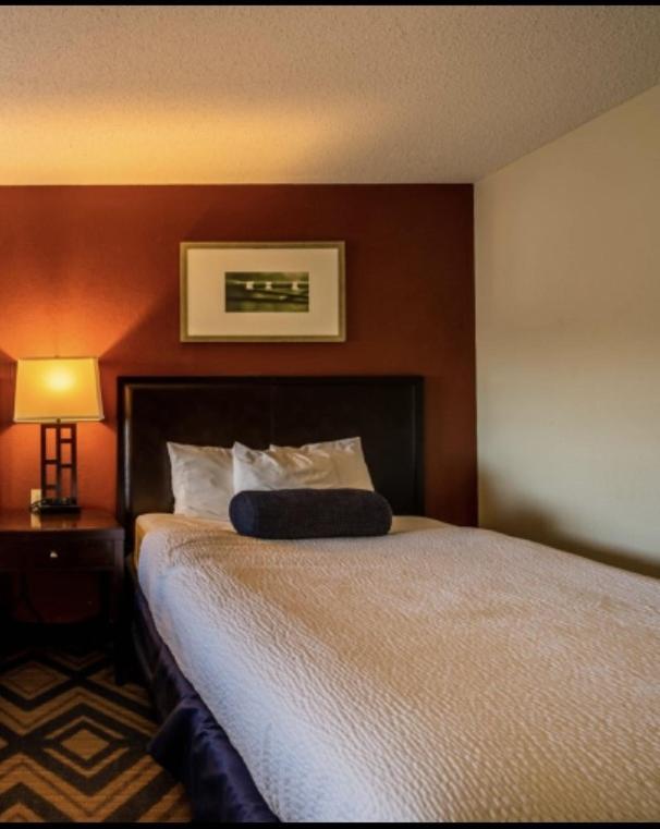 Queen Room - Non-Smoking - Photo 2