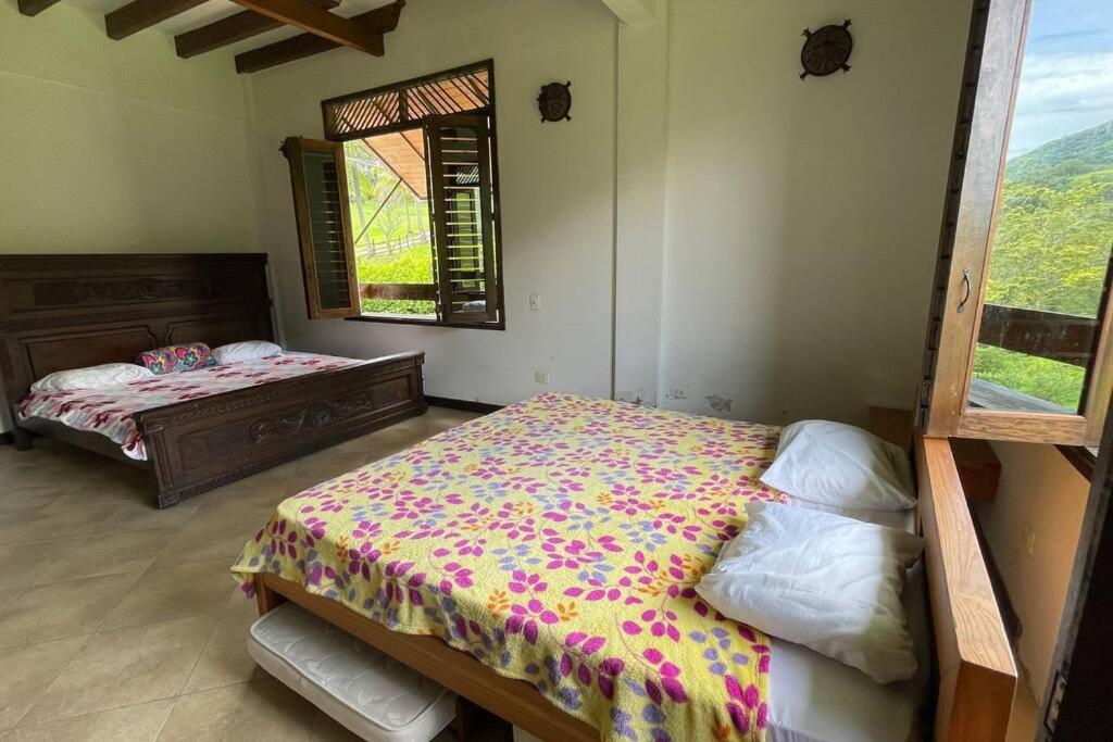 One-Bedroom House photo 1