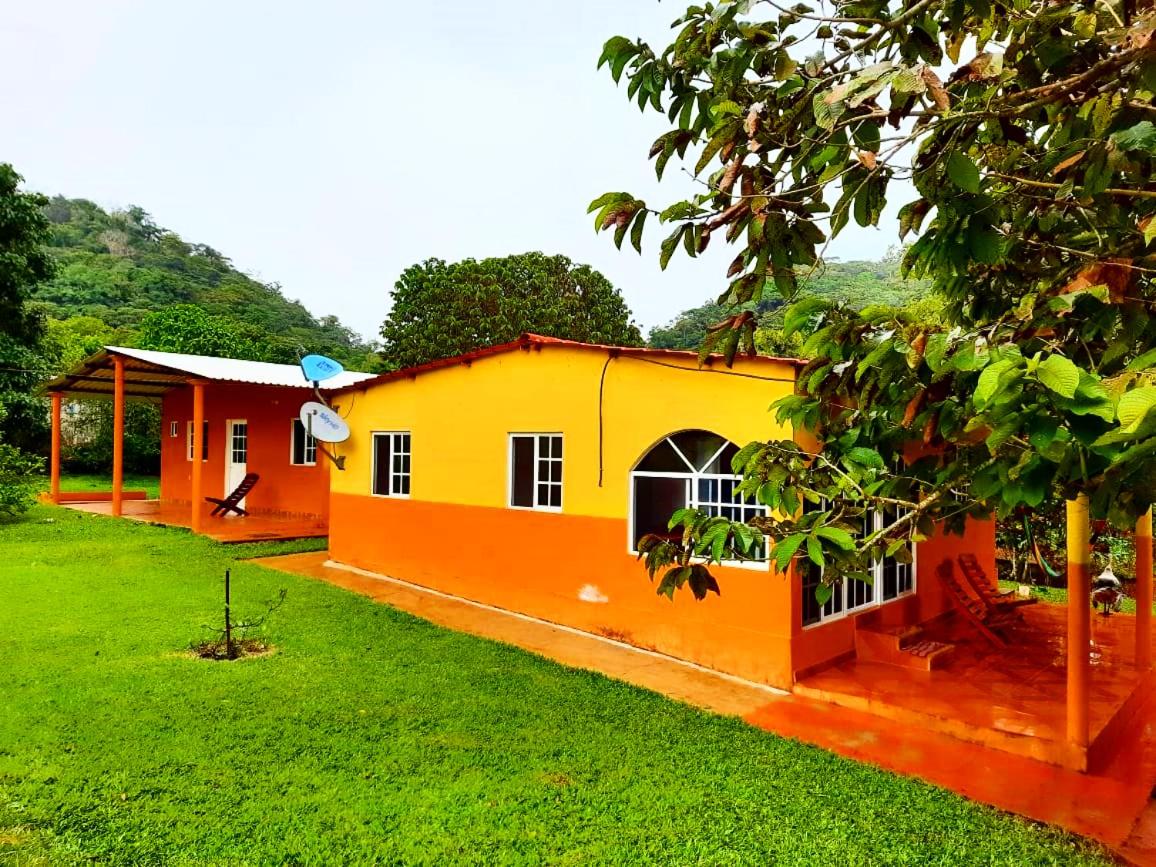 Quadruple Room with Garden View photo 2