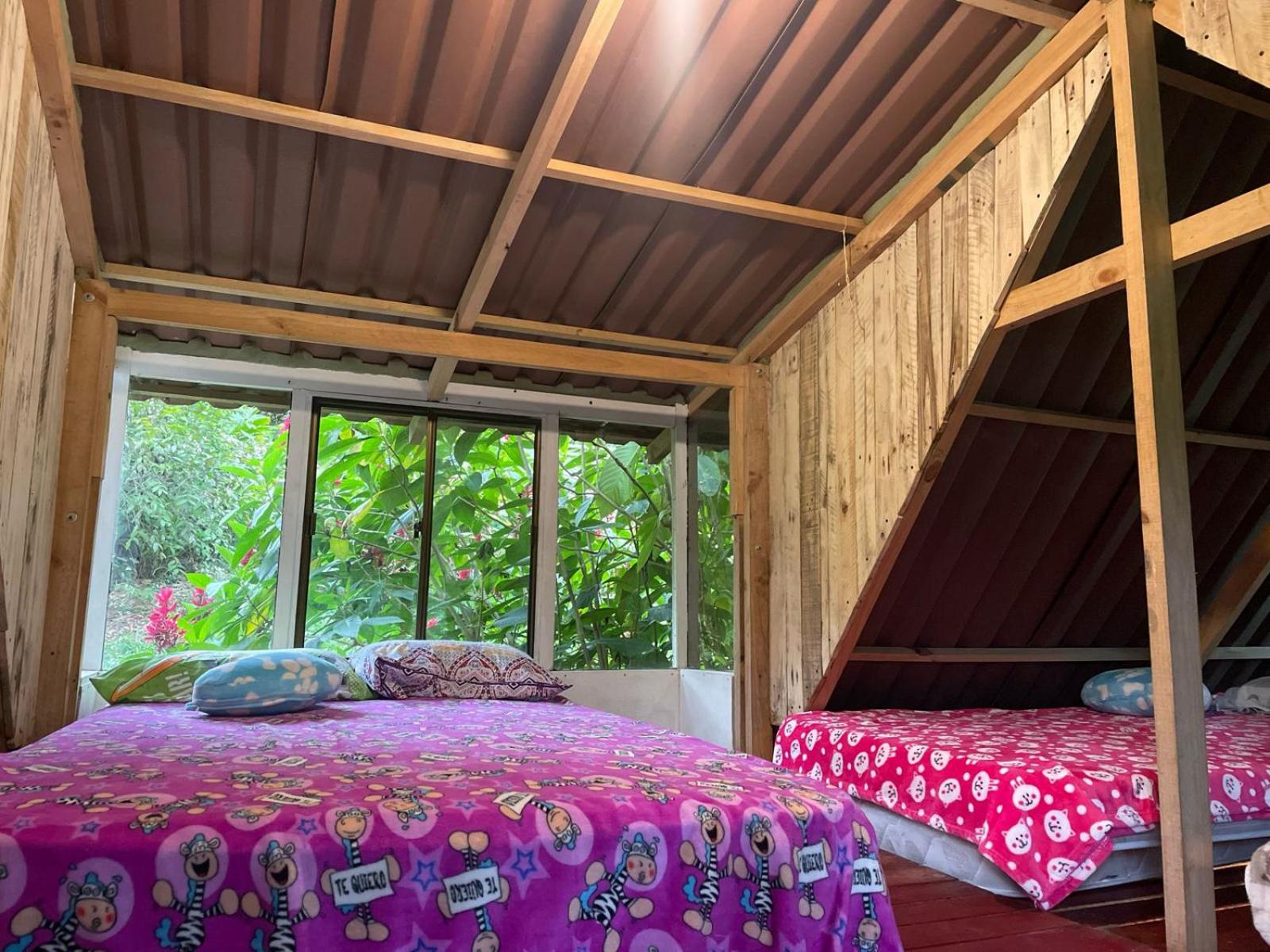 4-Bed Mixed Dormitory Room photo 1