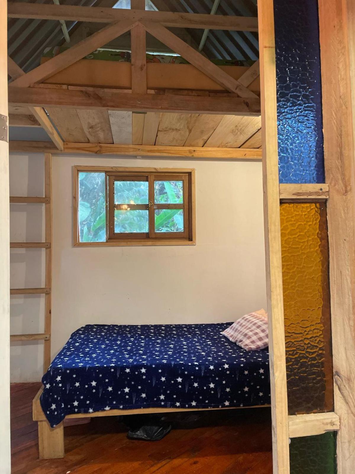 Twin Room photo 3