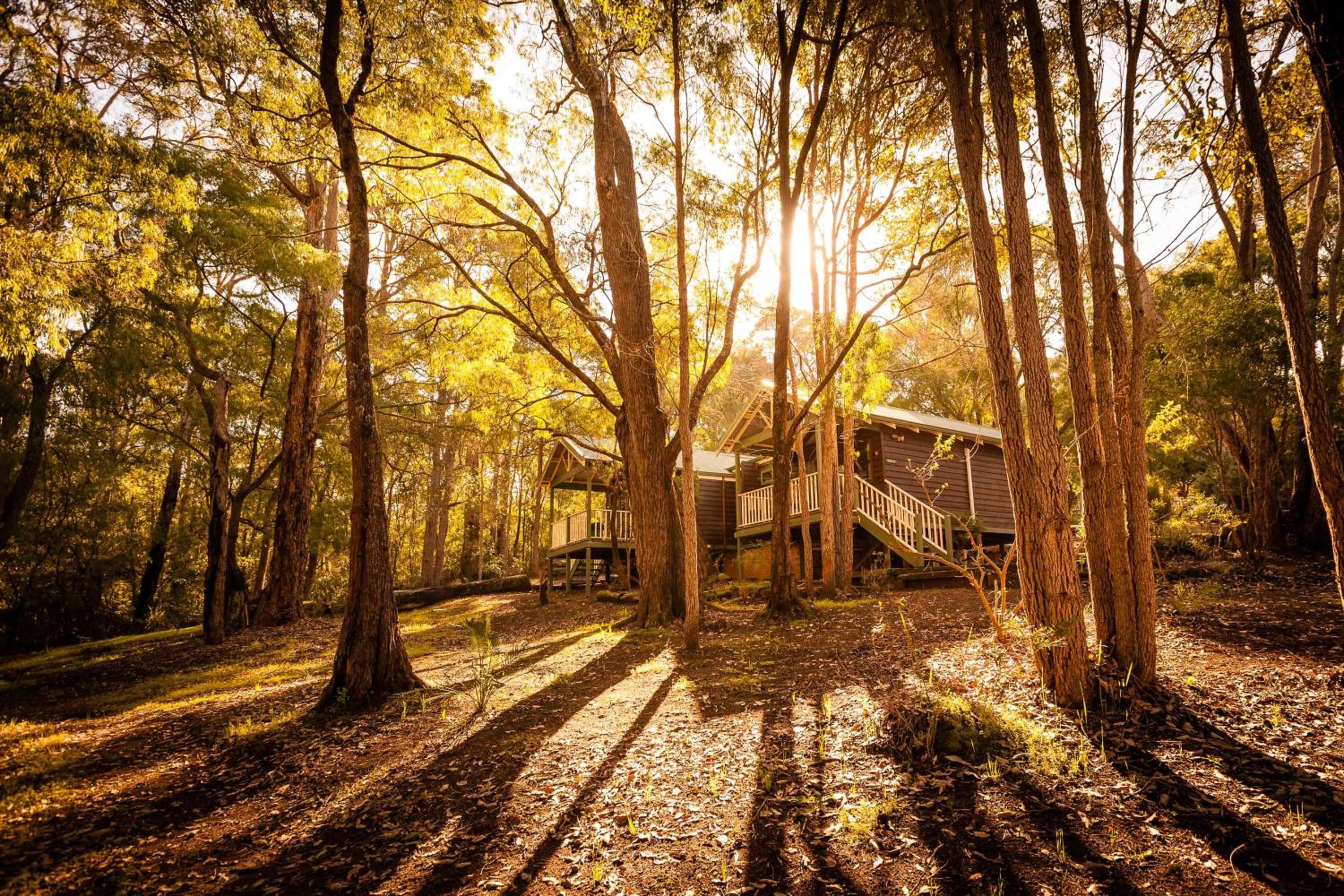 Studio Chalet photo 3