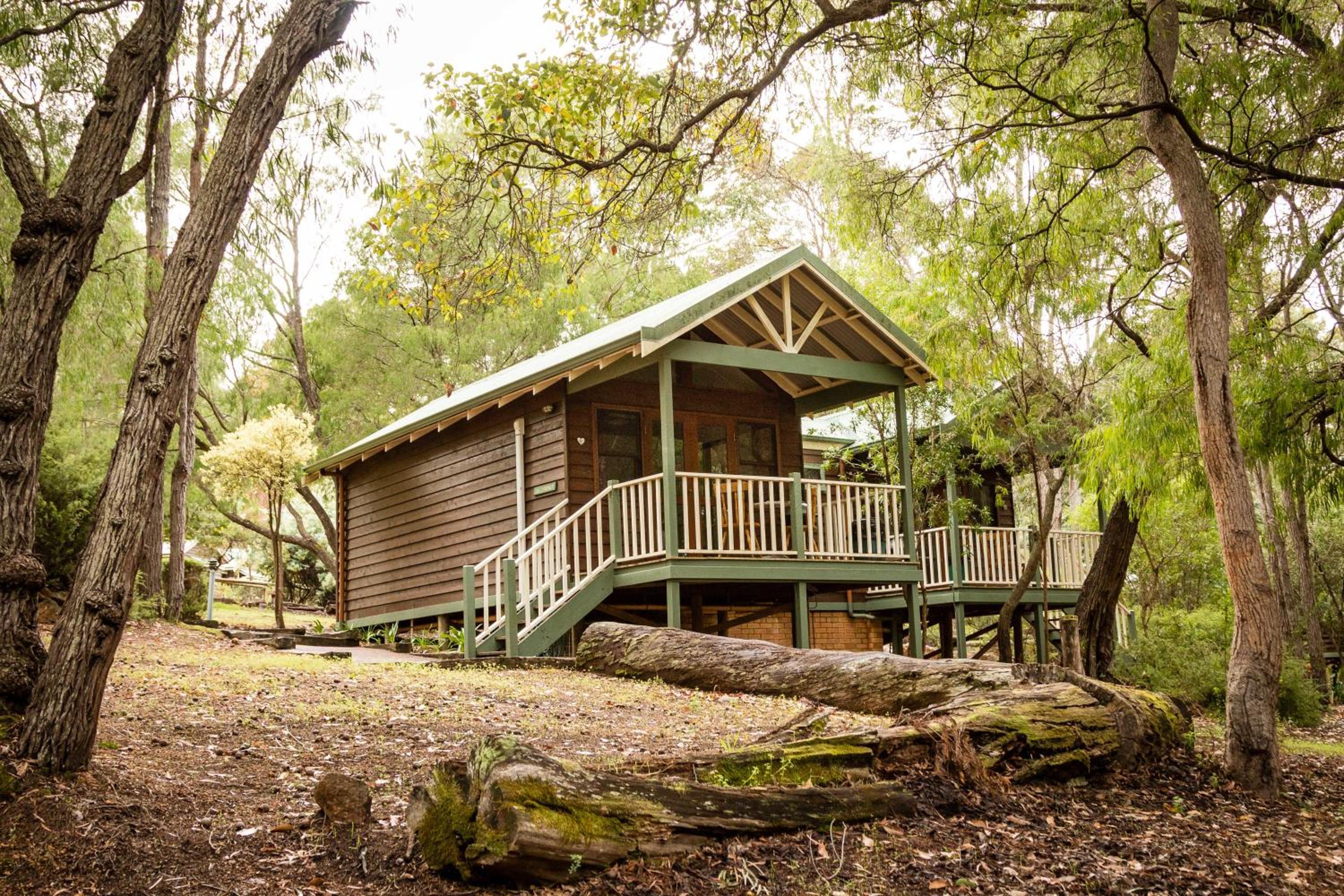 Studio Chalet photo 2
