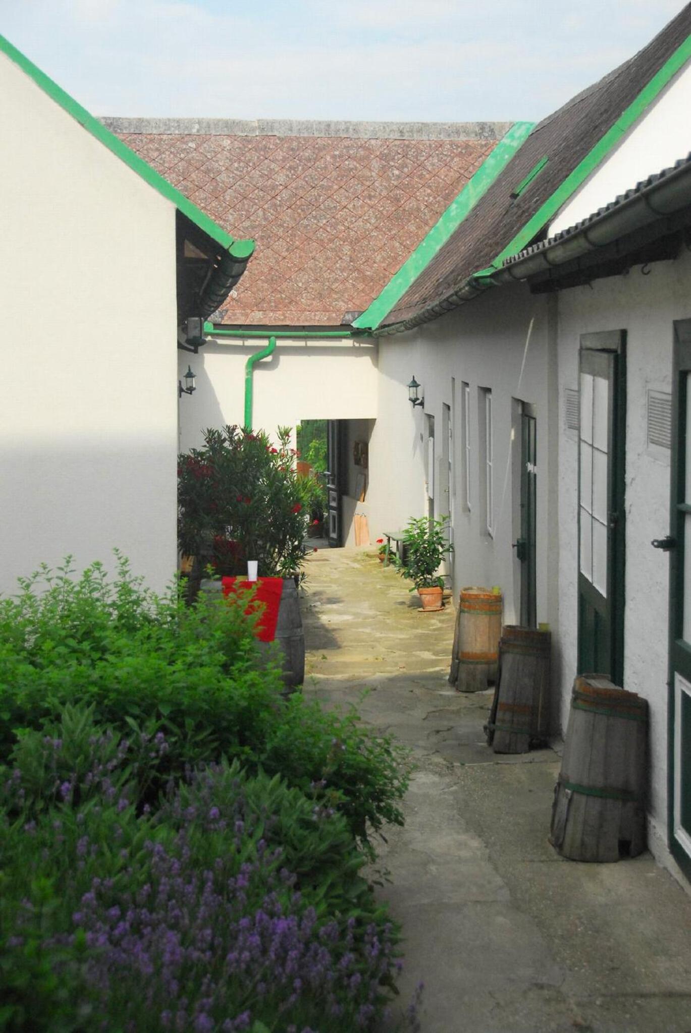 One-Bedroom Apartment with Garden photo 3