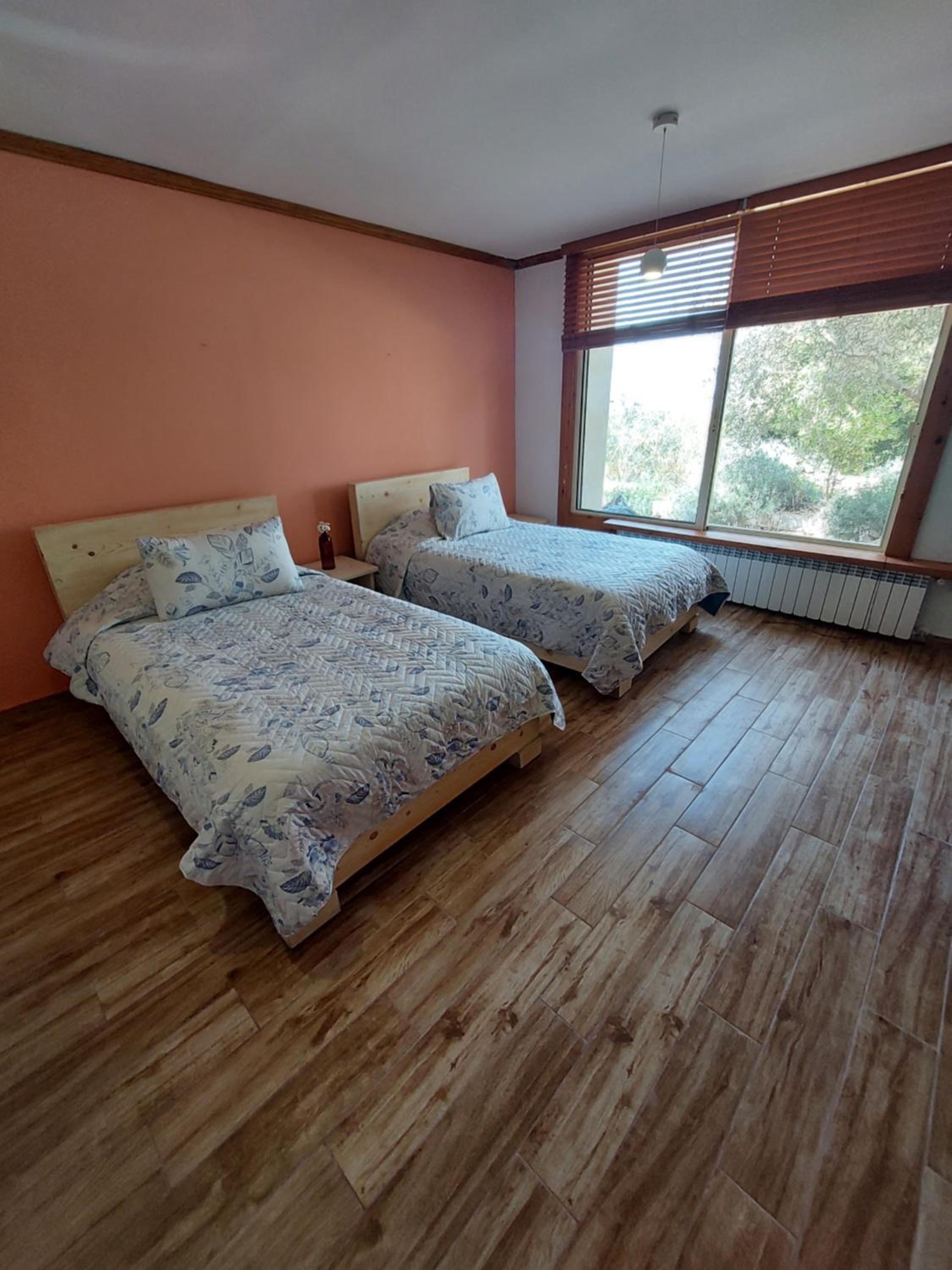 Twin Room with Terrace photo 3