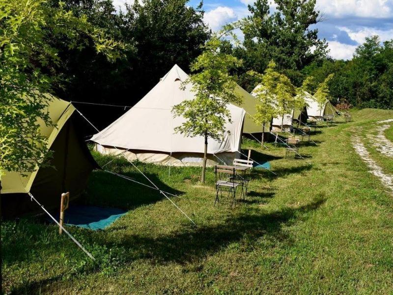 Tent photo 2