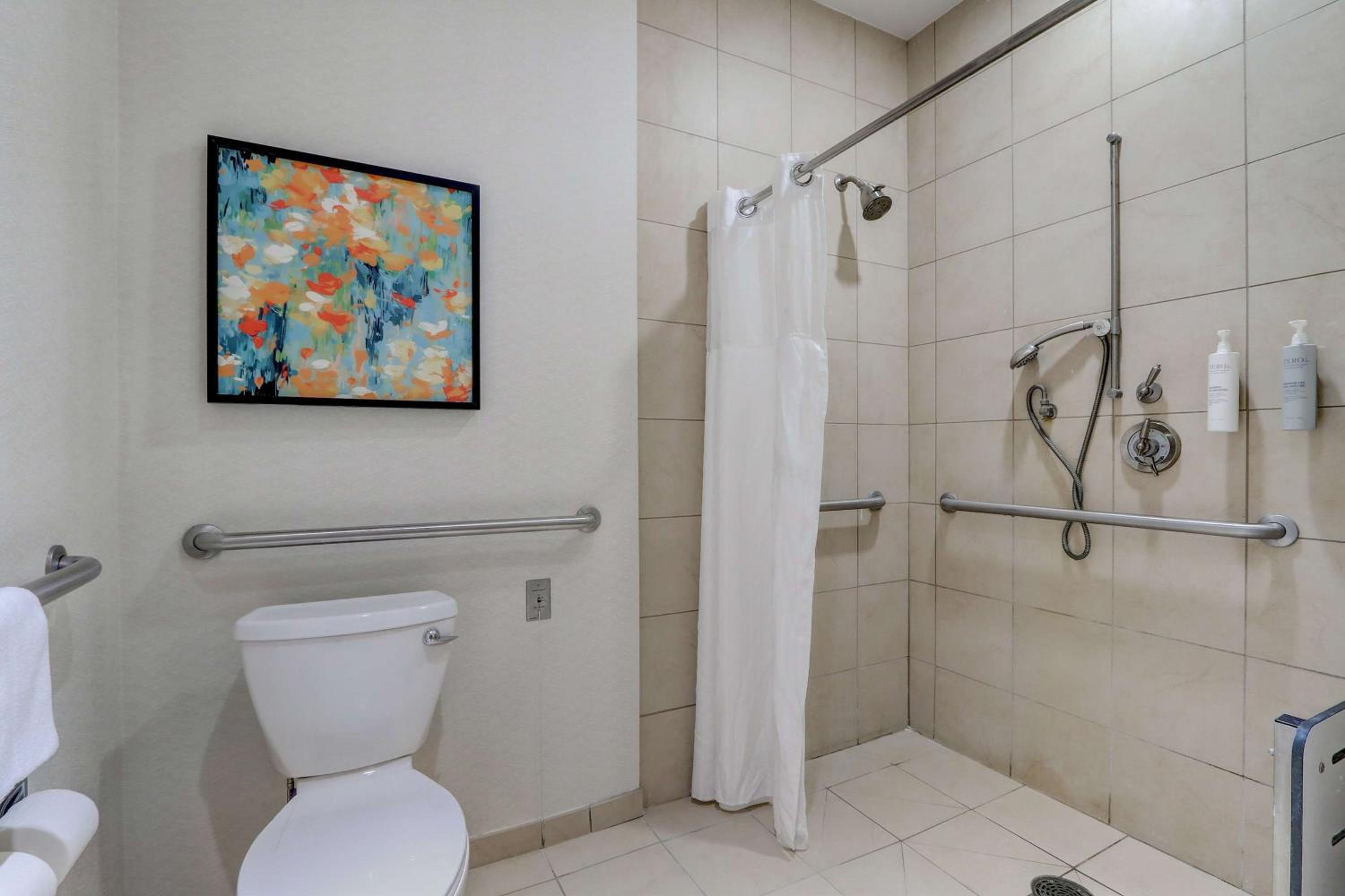 King Room with Roll-In Shower - Mobility Access - Photo 4